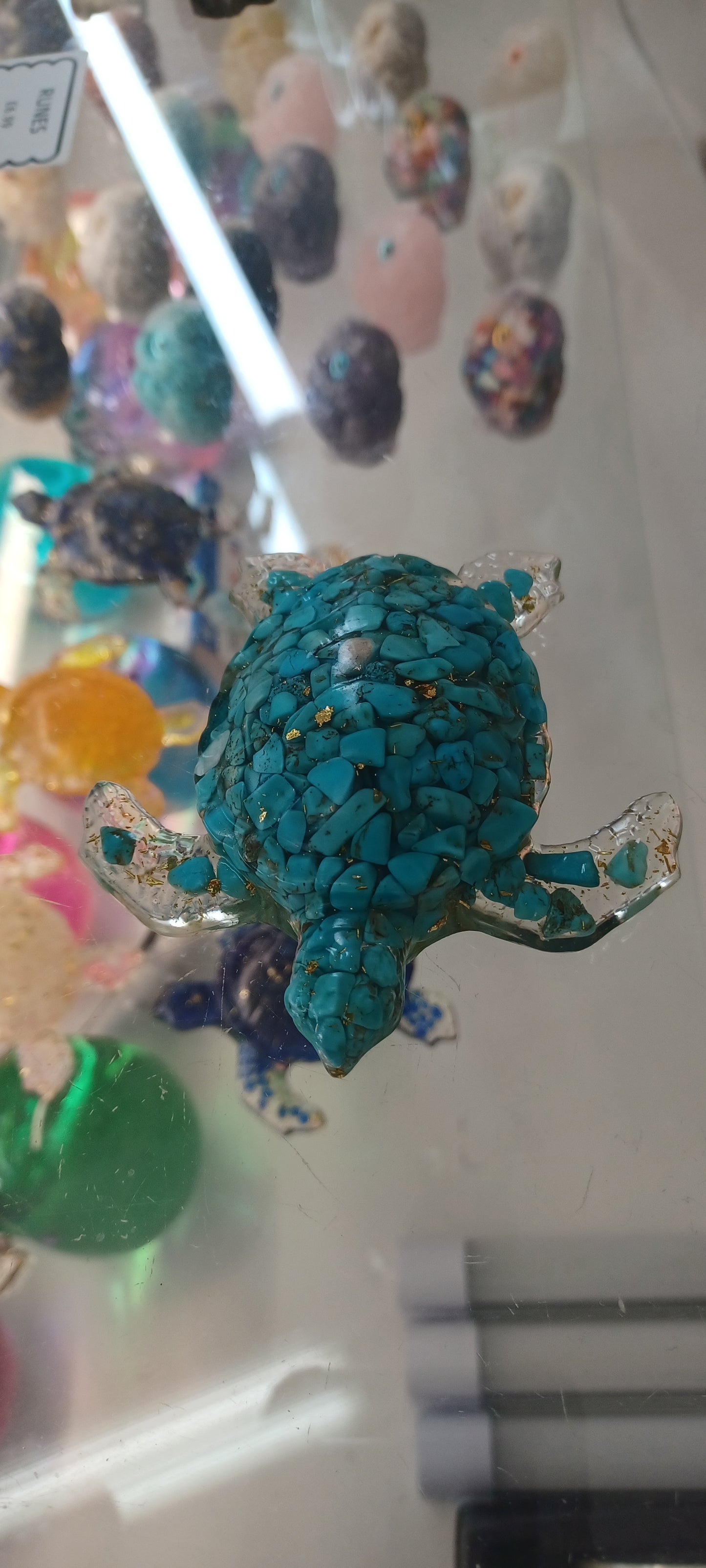 Turtle