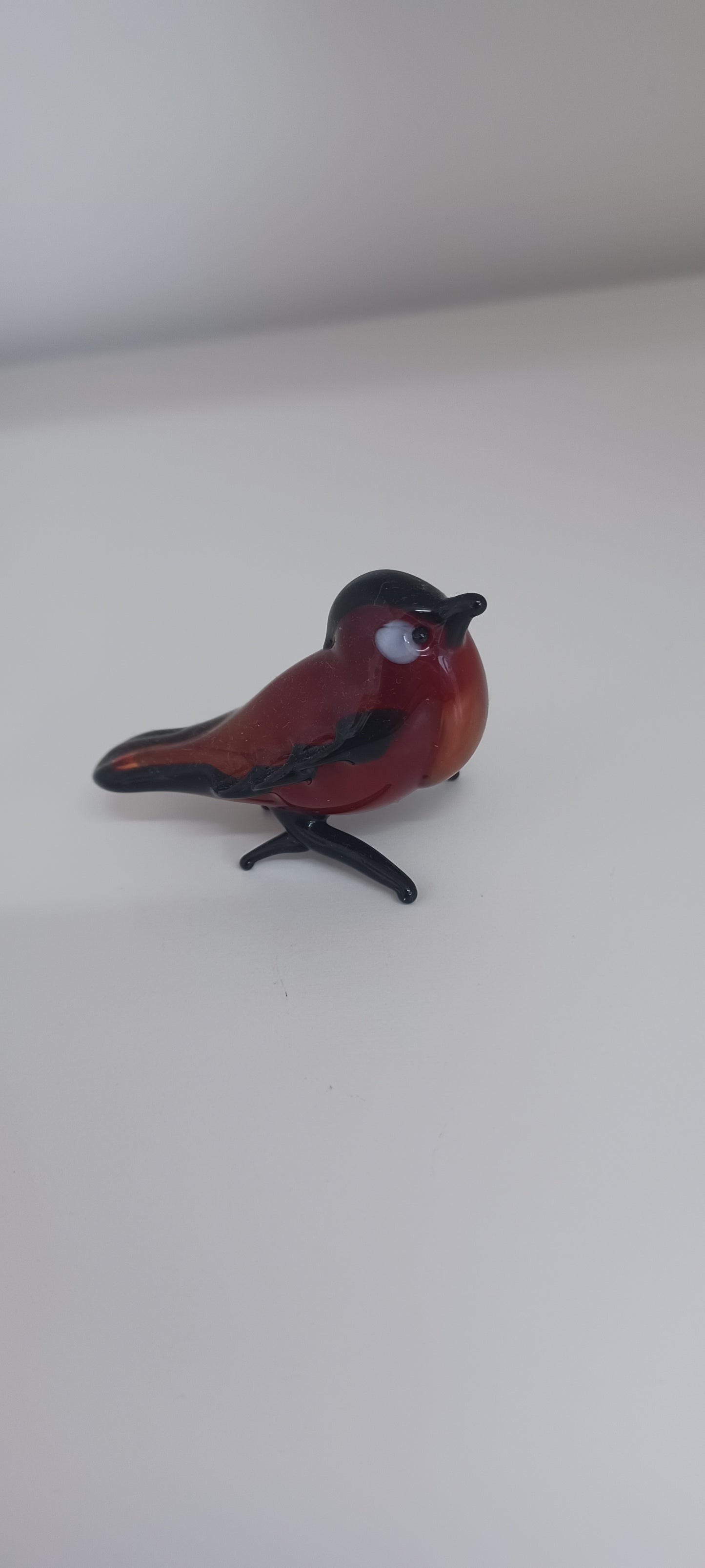 Glass Robin