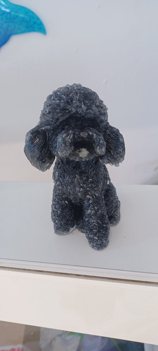 Glass Poodle