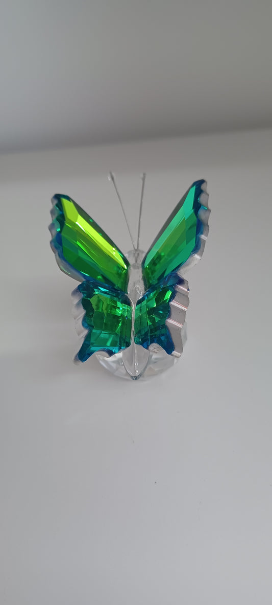 Glass Butterfly