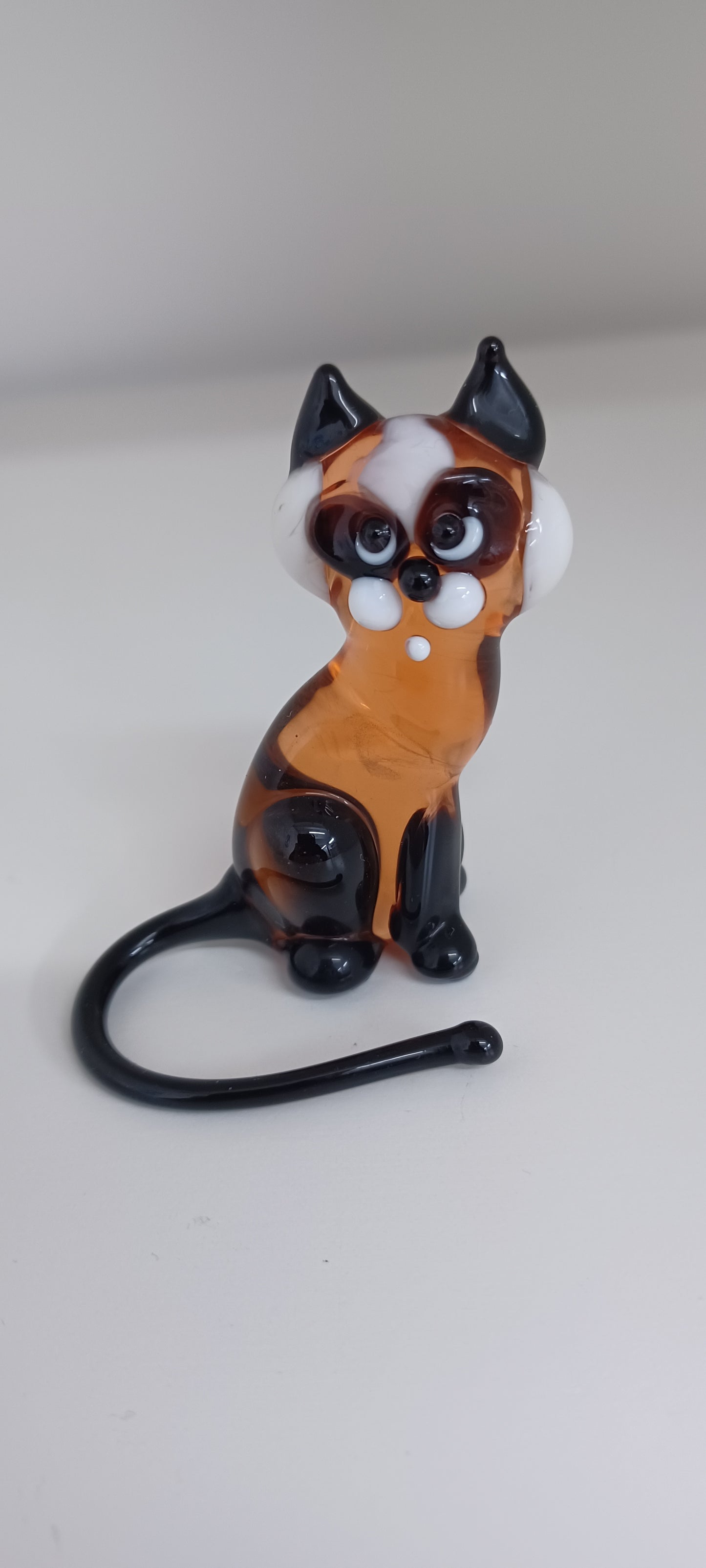 Glass Cat