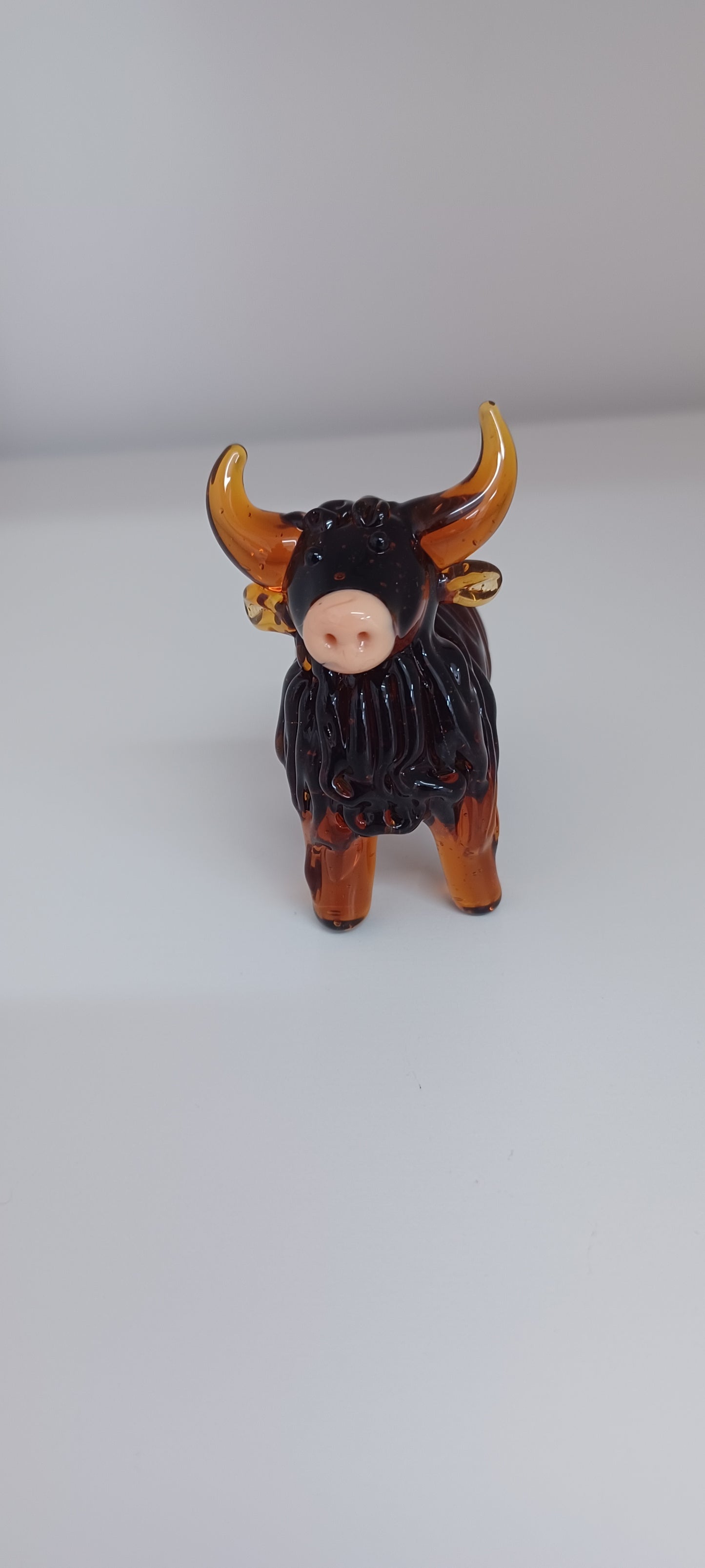 Highland Cow