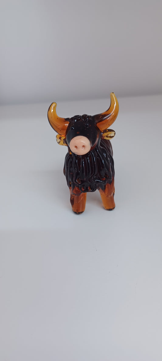 Highland Cow