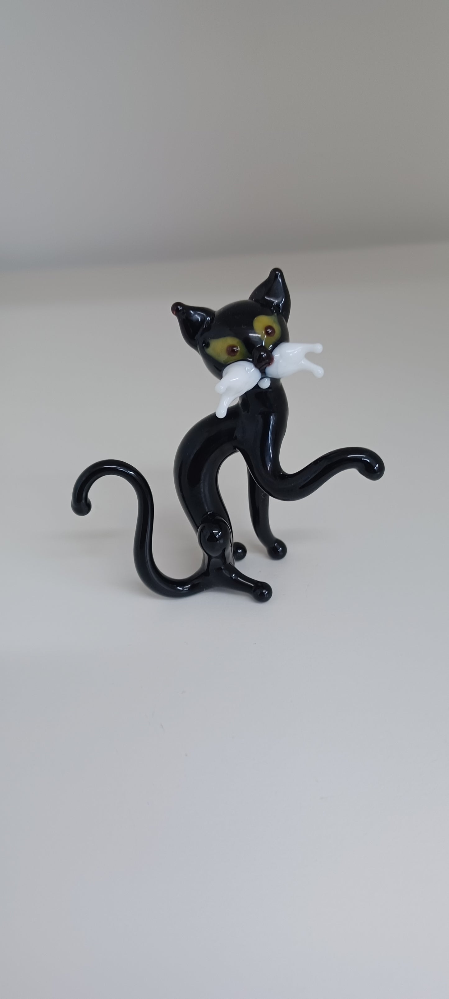 Glass Cat