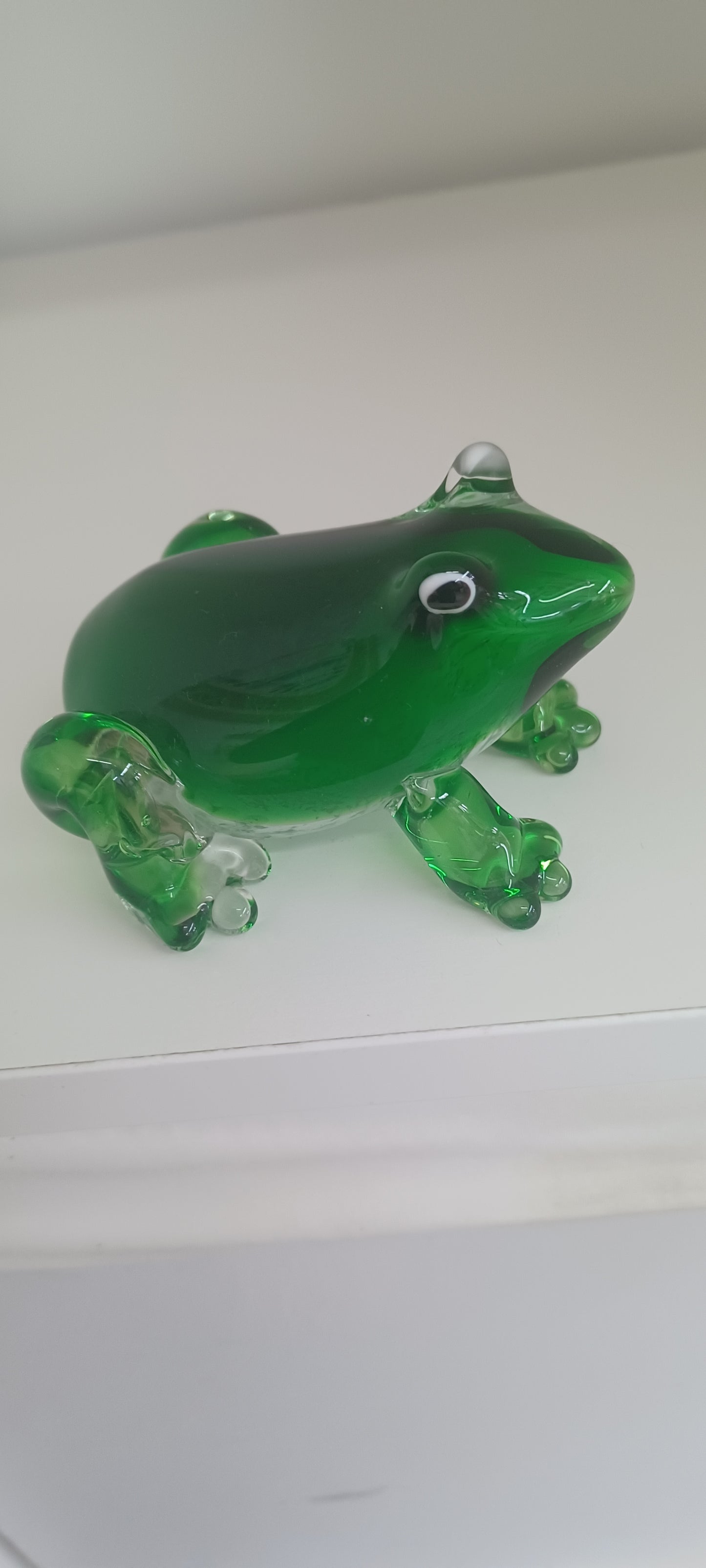 Glass Frog