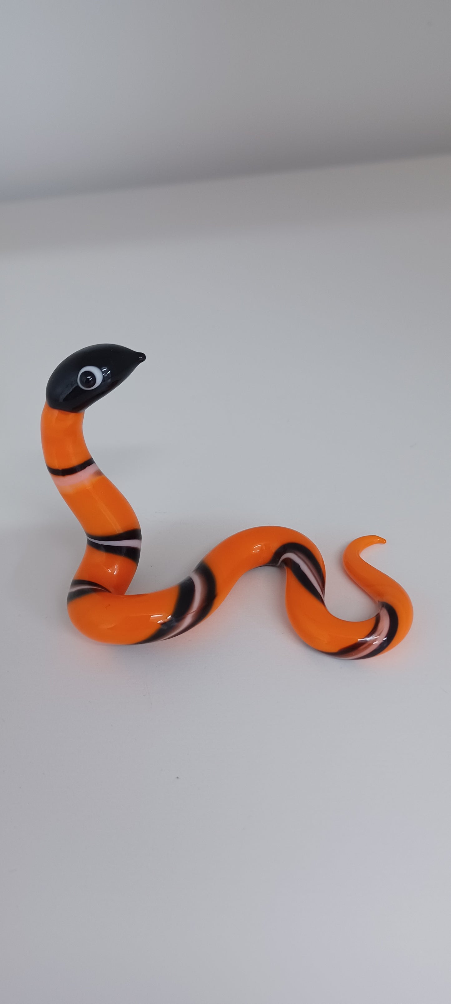 Glass Snake