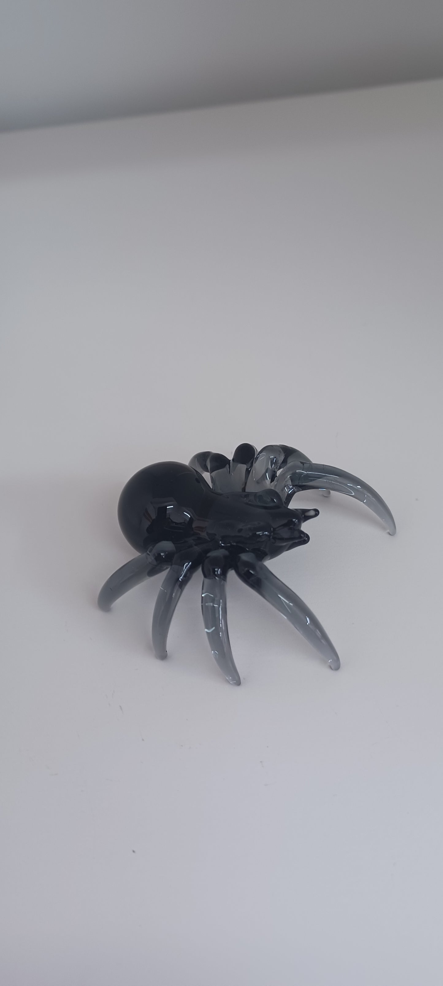 Glass Spider