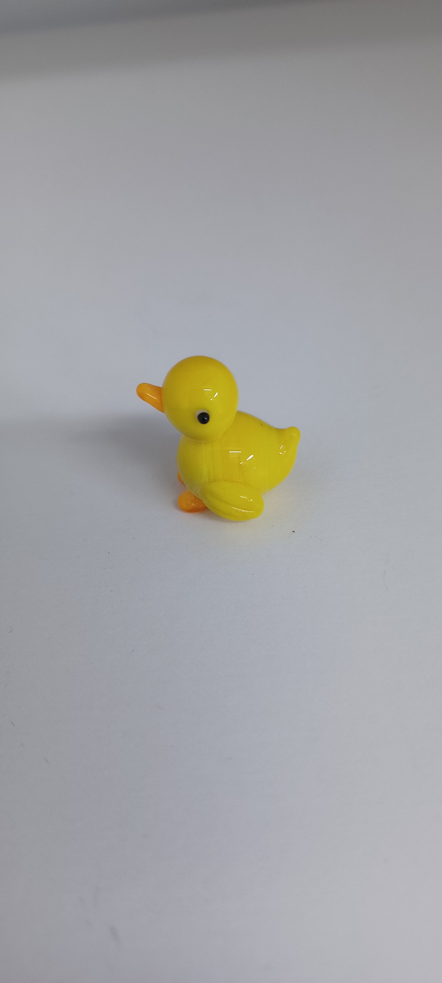 Glass Duck