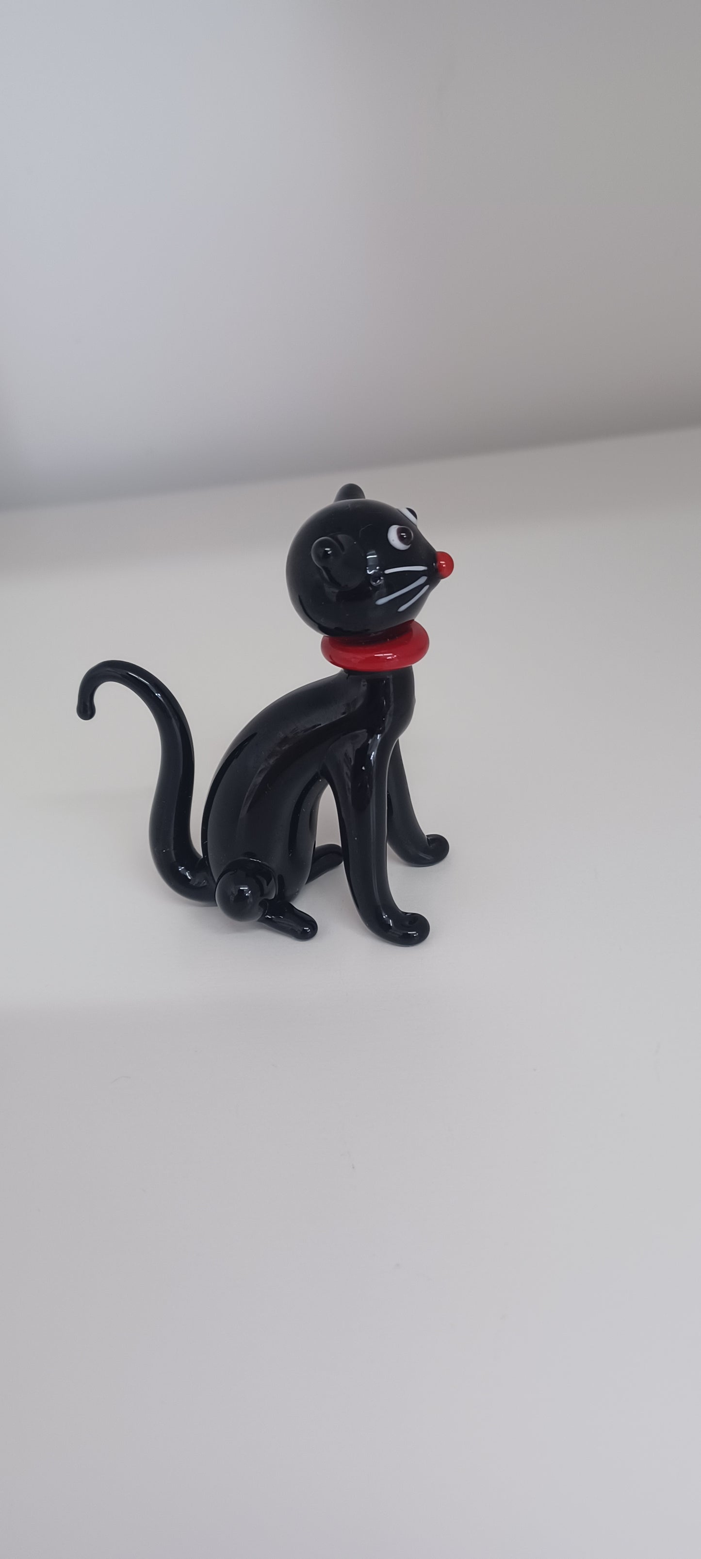 Glass Cat