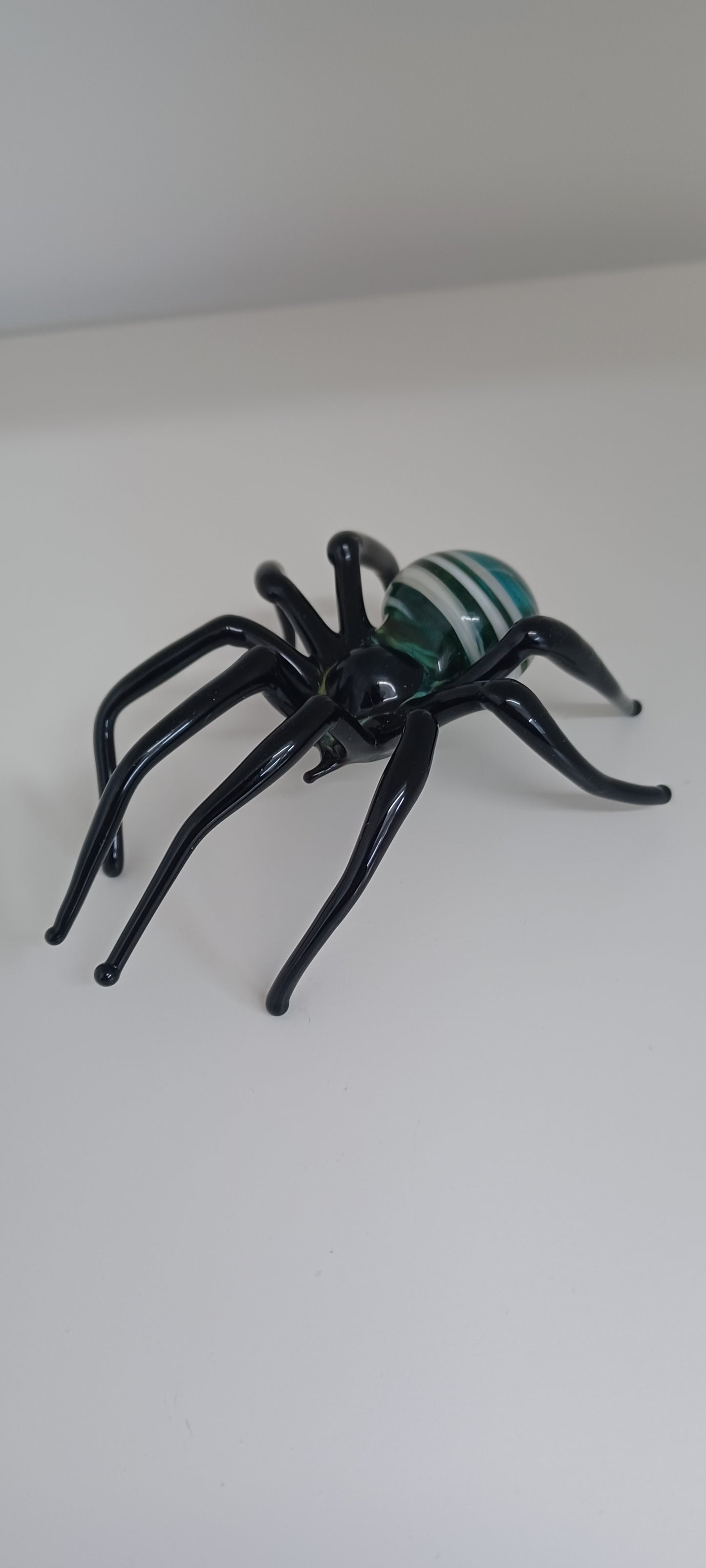 Glass Spider