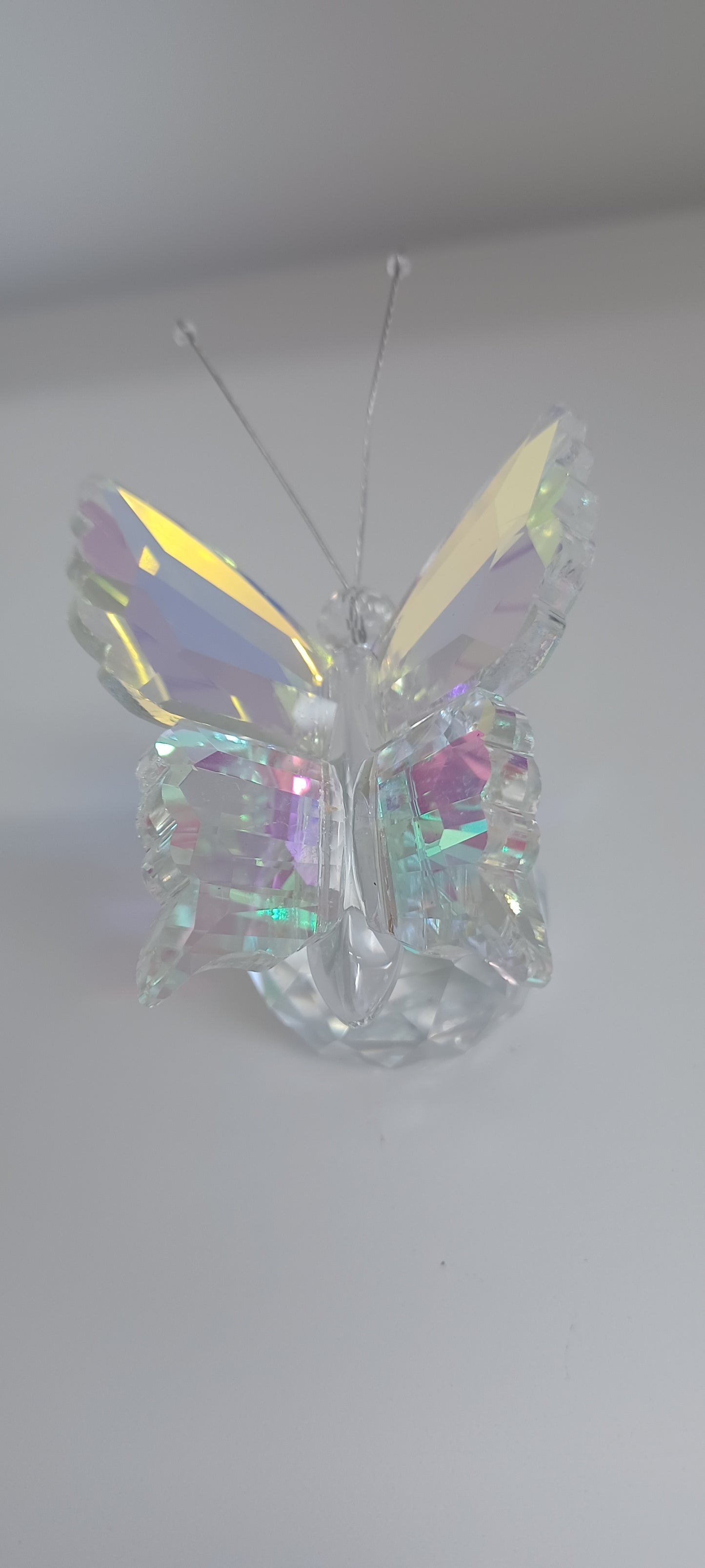 Glass Butterfly