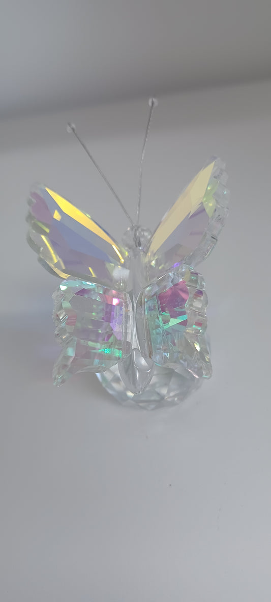Glass Butterfly