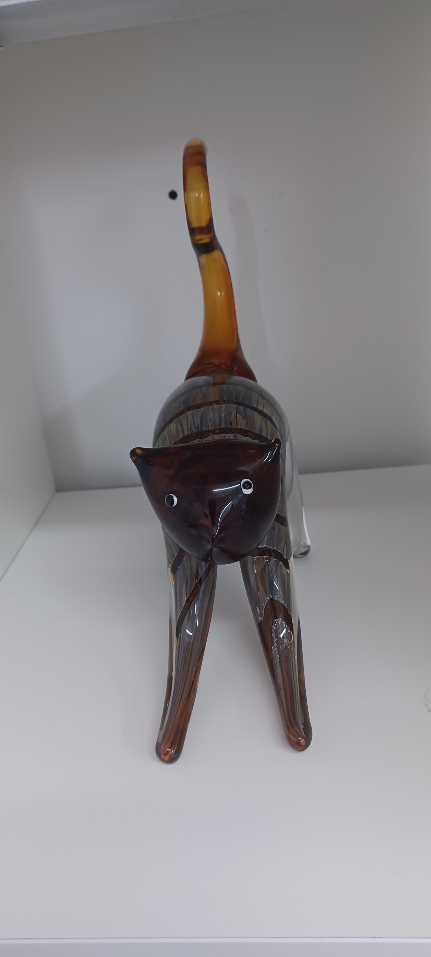 Glass Cat