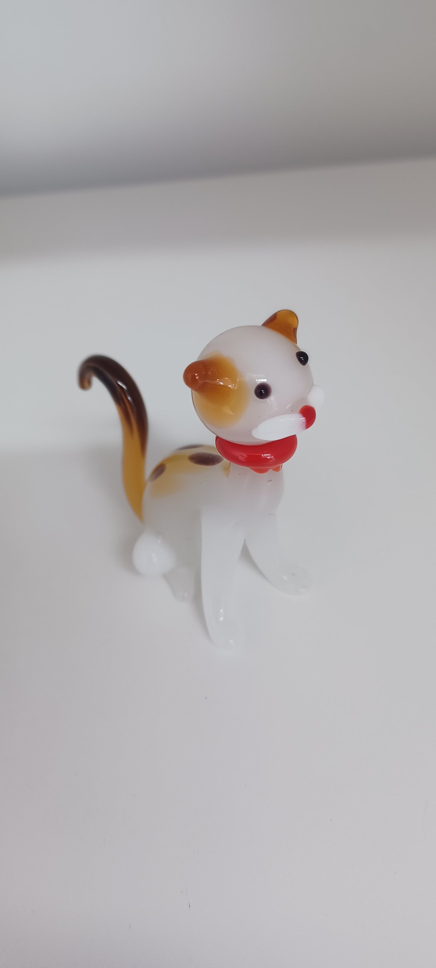 Glass Cat