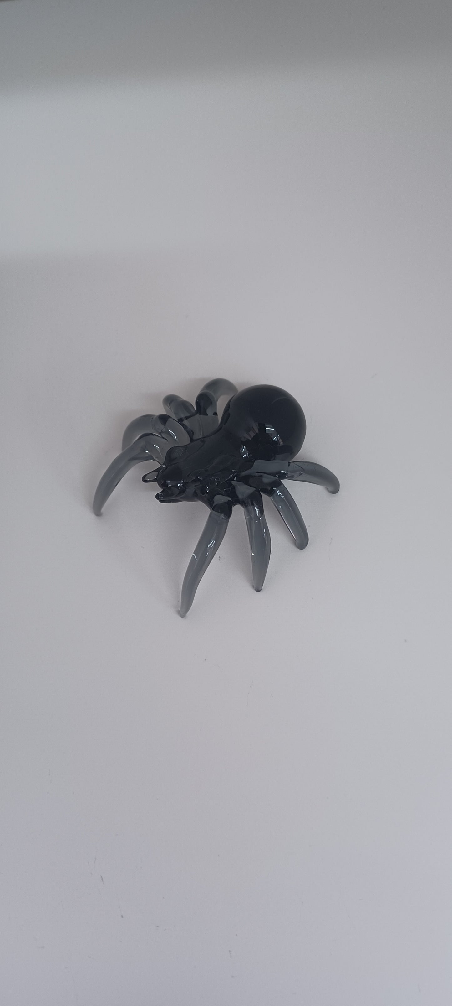 Glass Spider