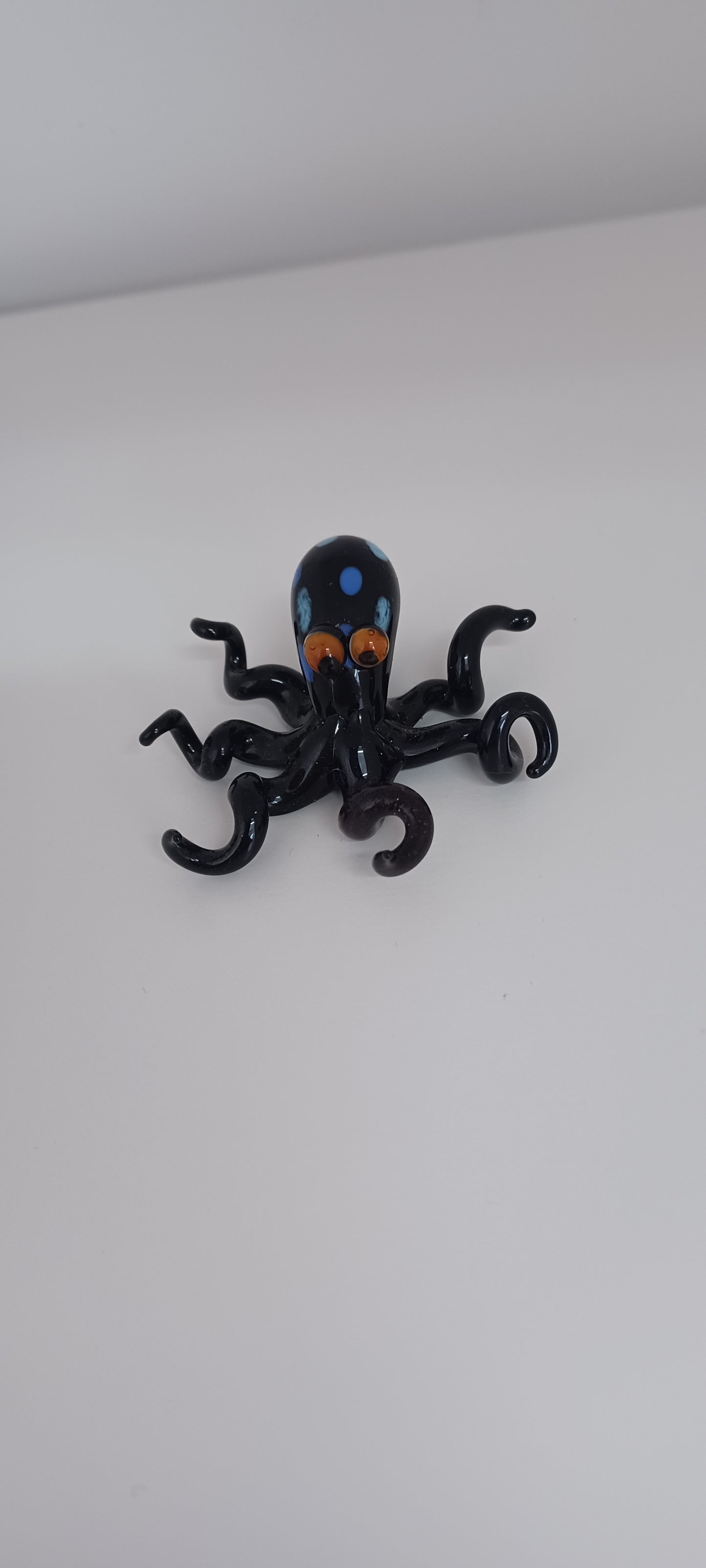 Glass Octopus