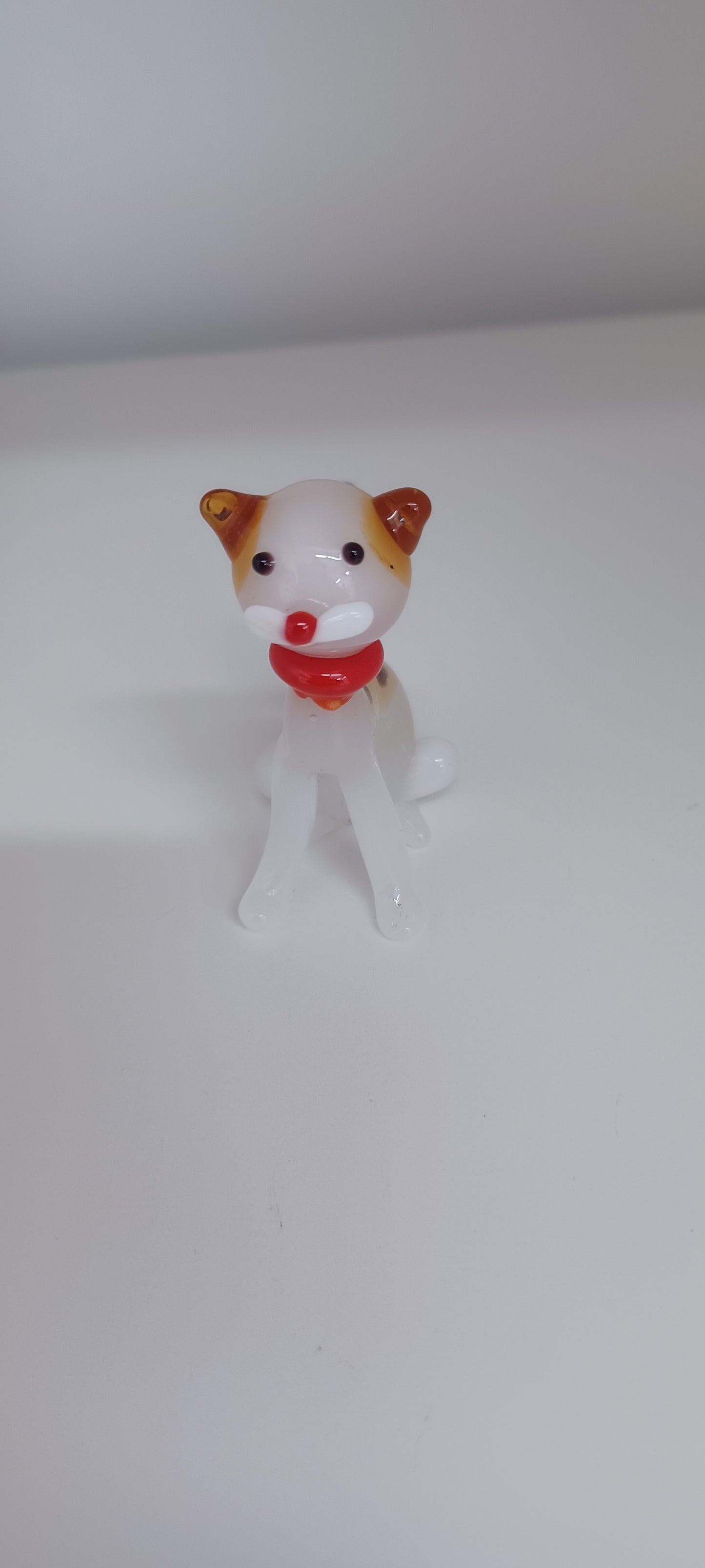 Glass Cat