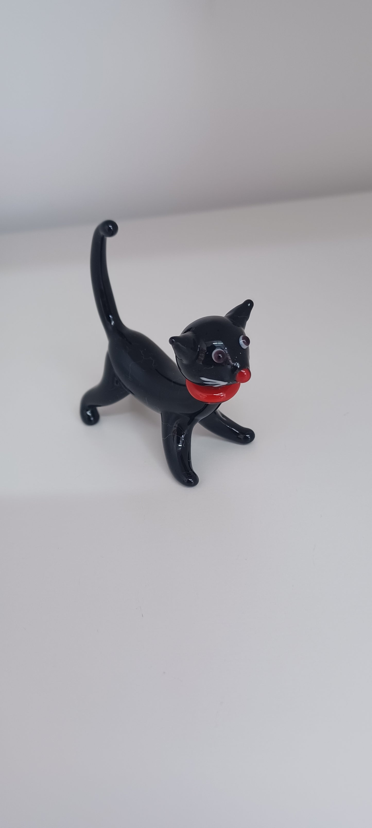Glass Cat