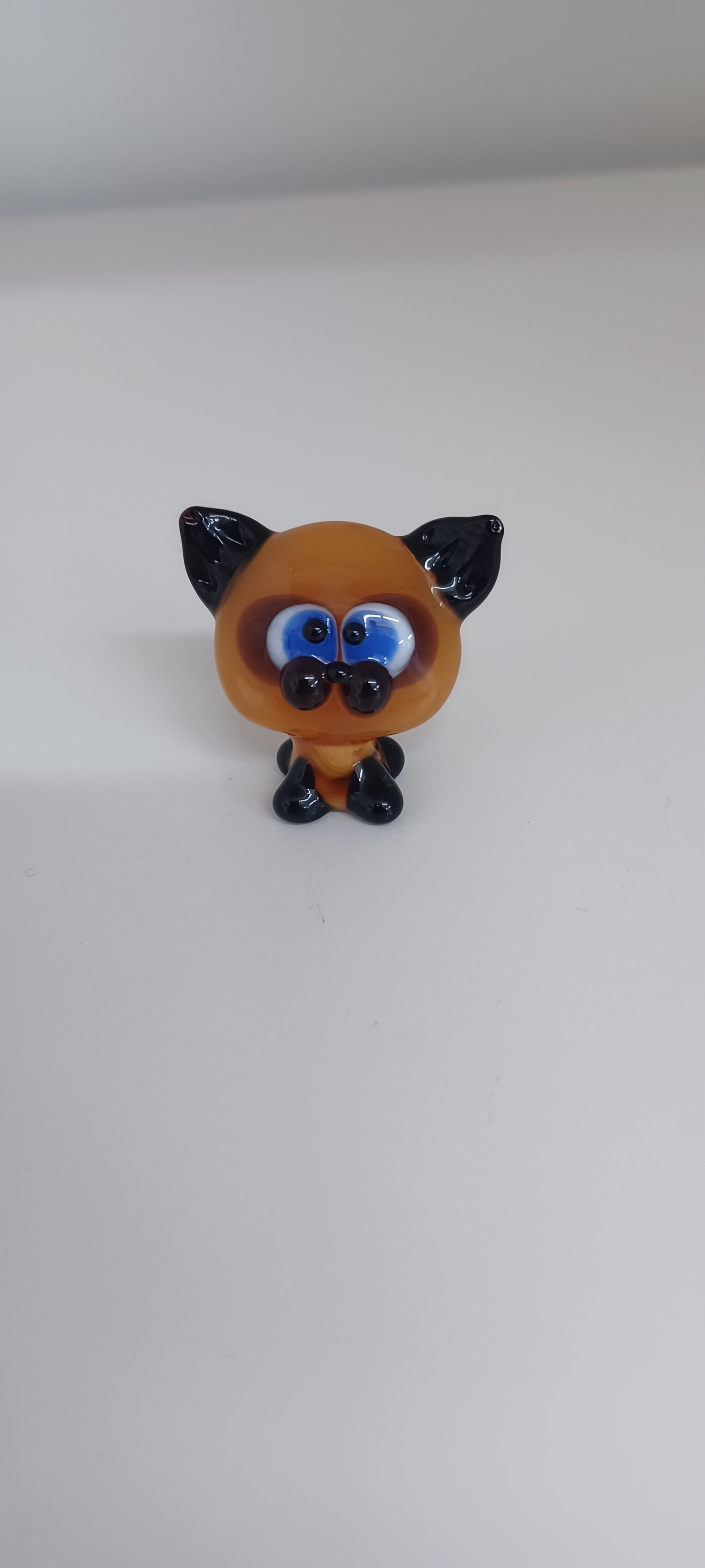 Glass Cat