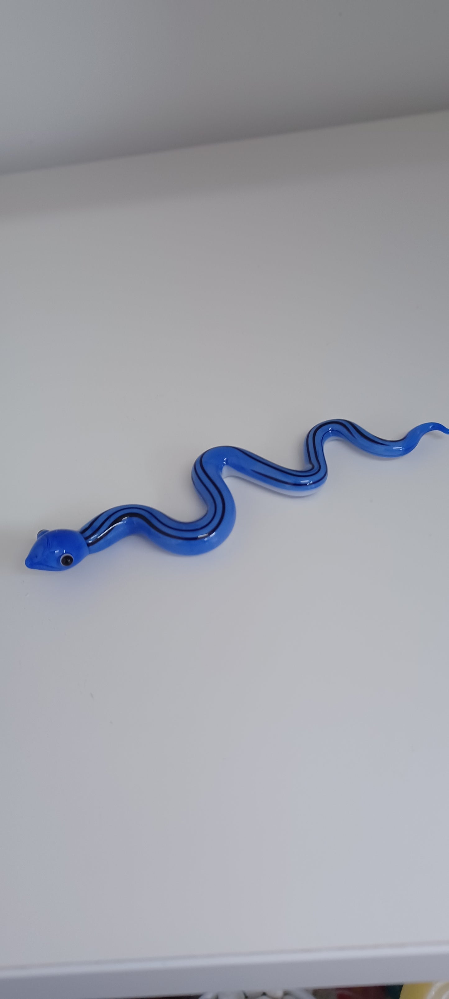 Glass Snake