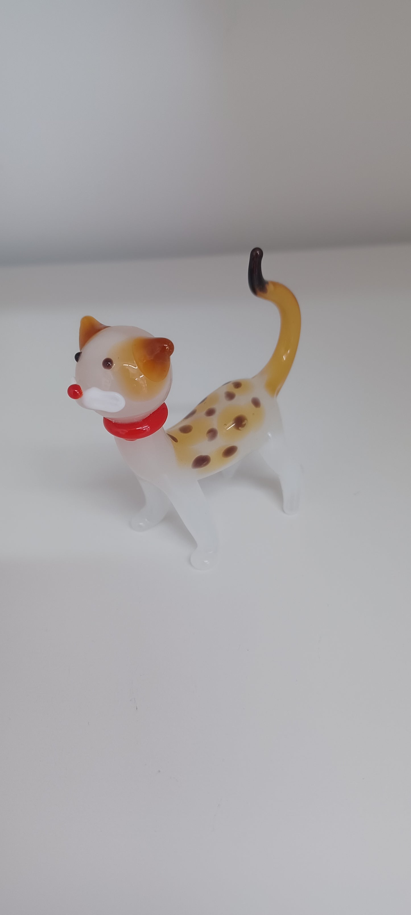 Glass Cat