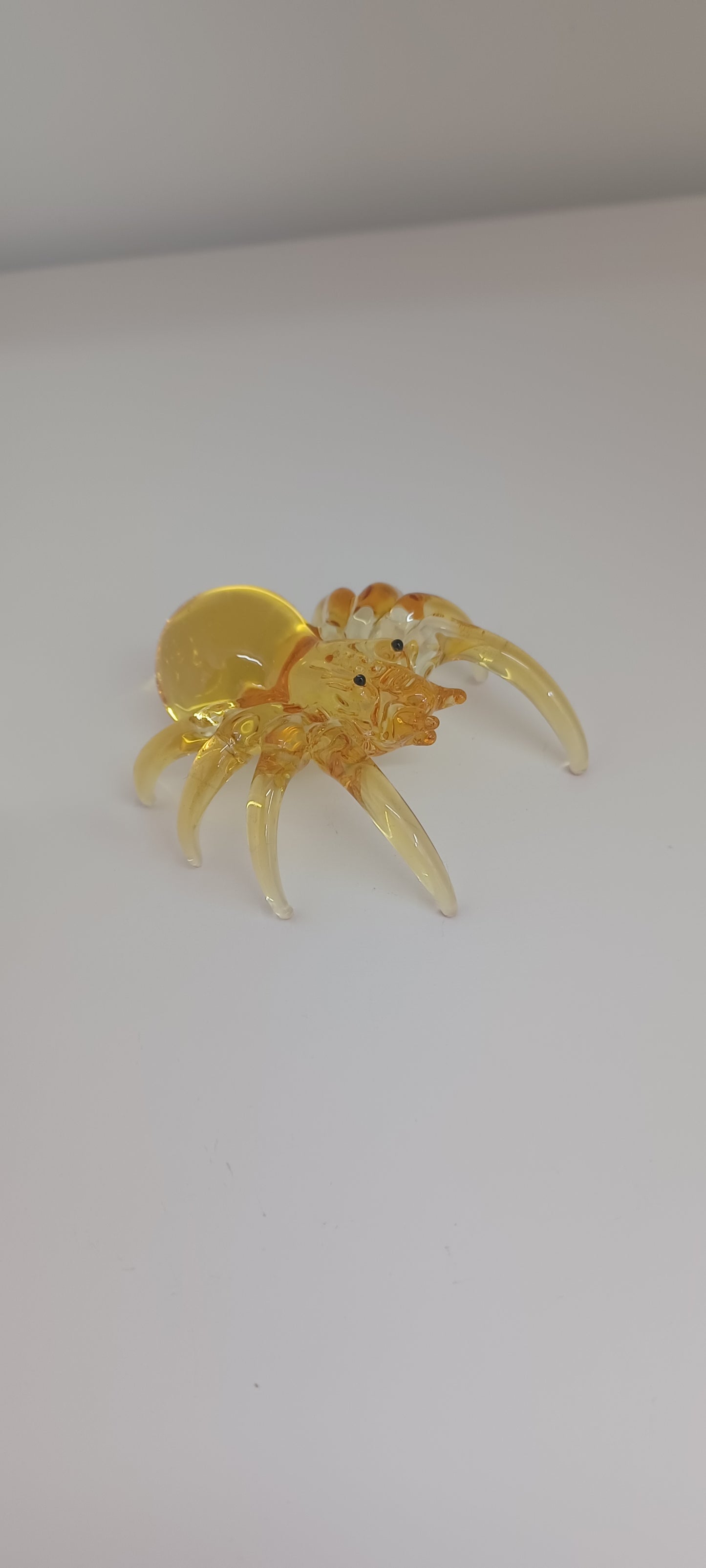 Glass Spider
