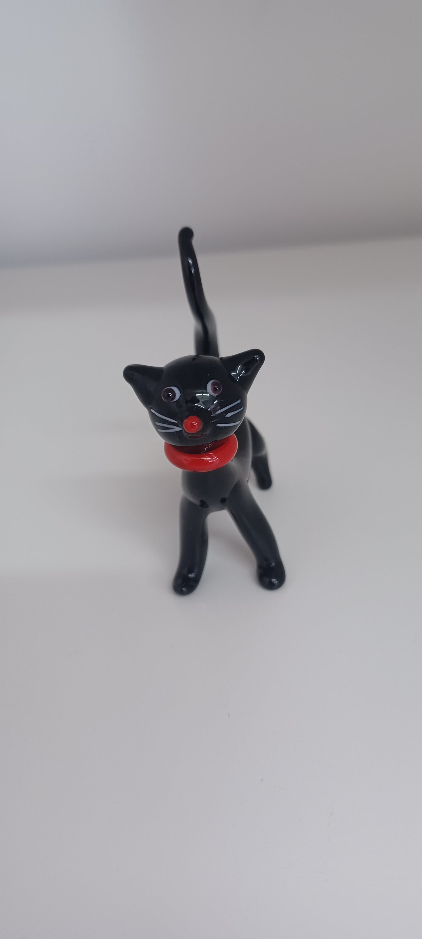 Glass Cat