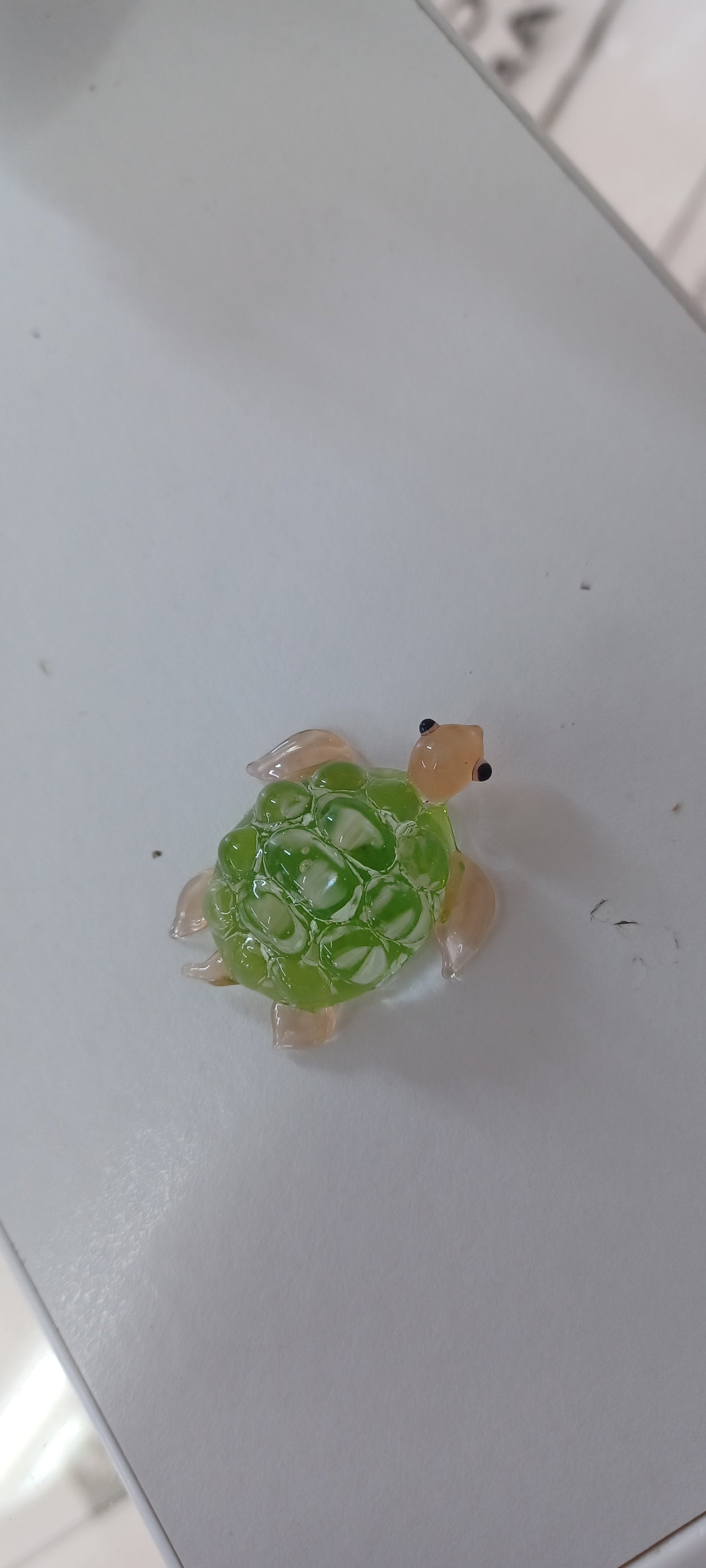 Glass Turtle