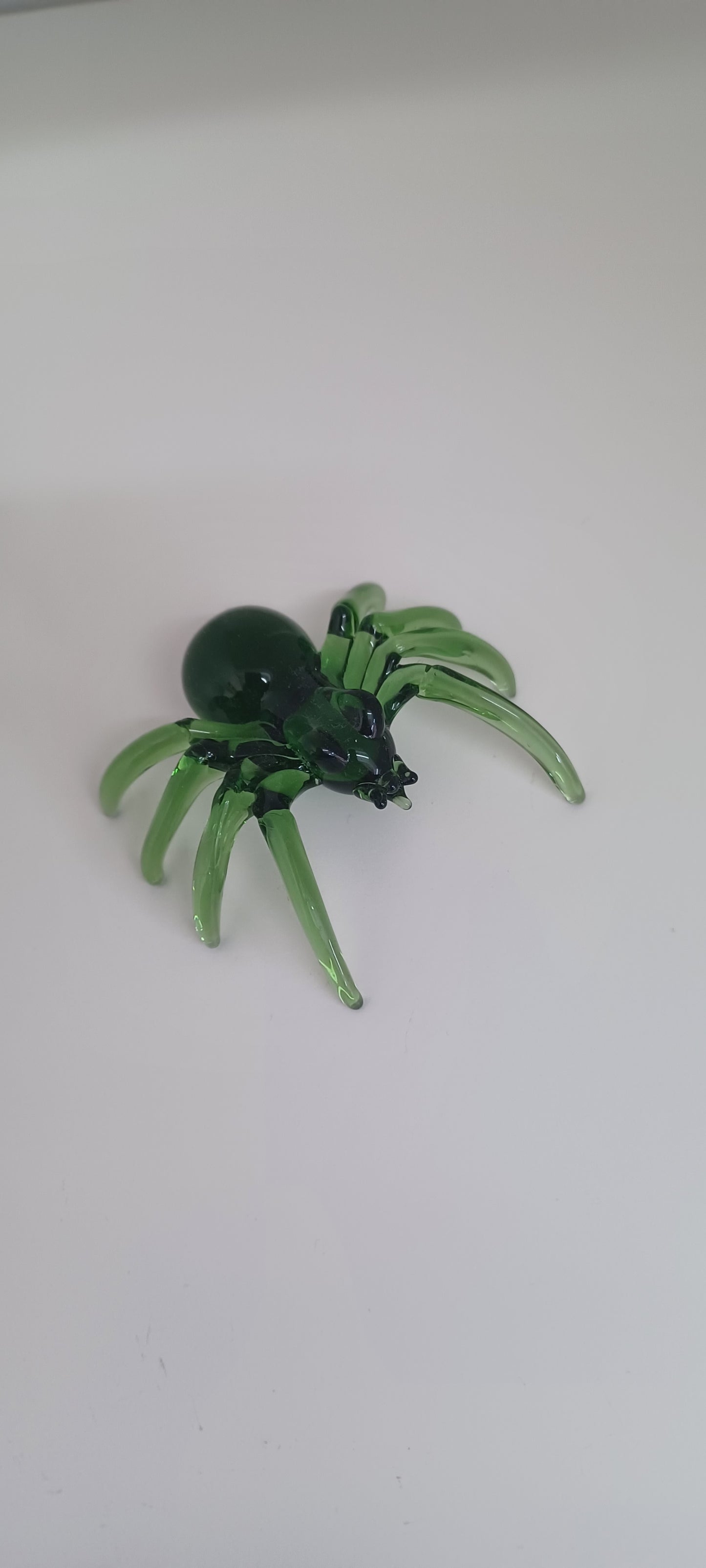 Glass Spider