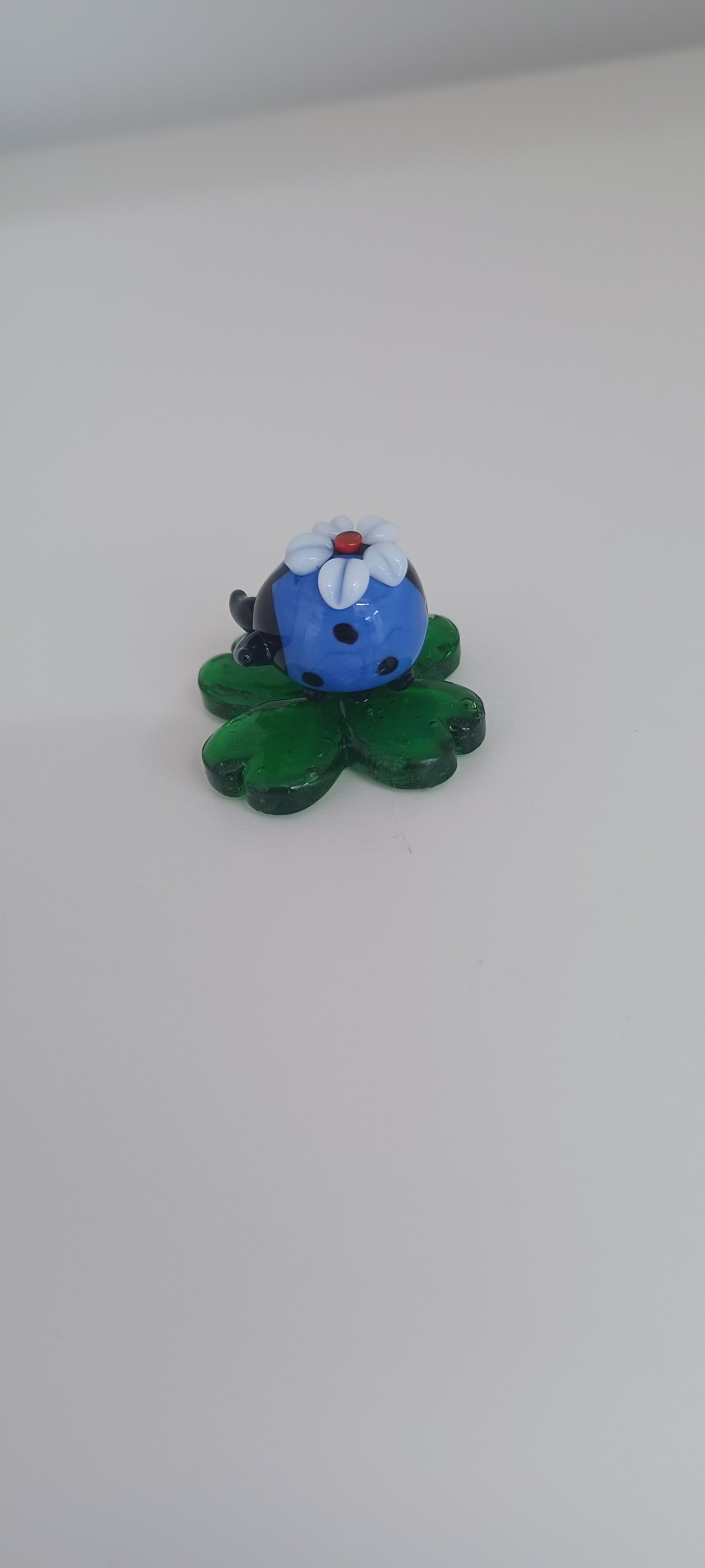 Glass Ladybird