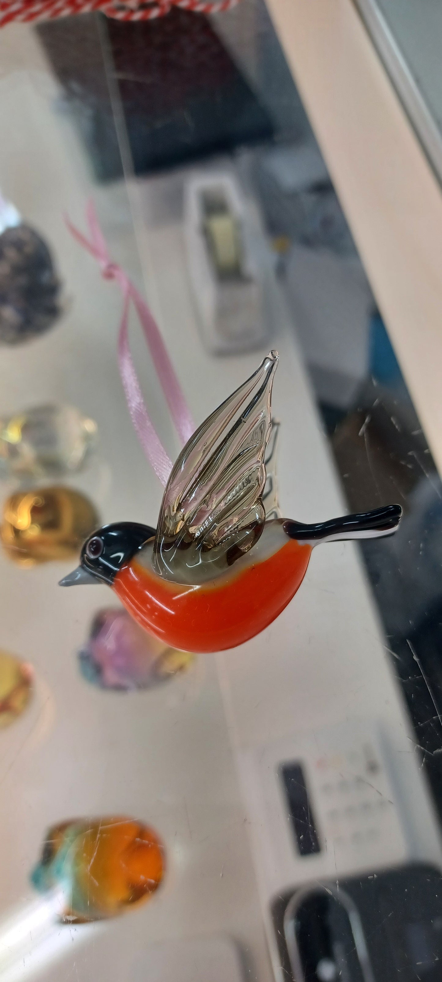 Glass Robin
