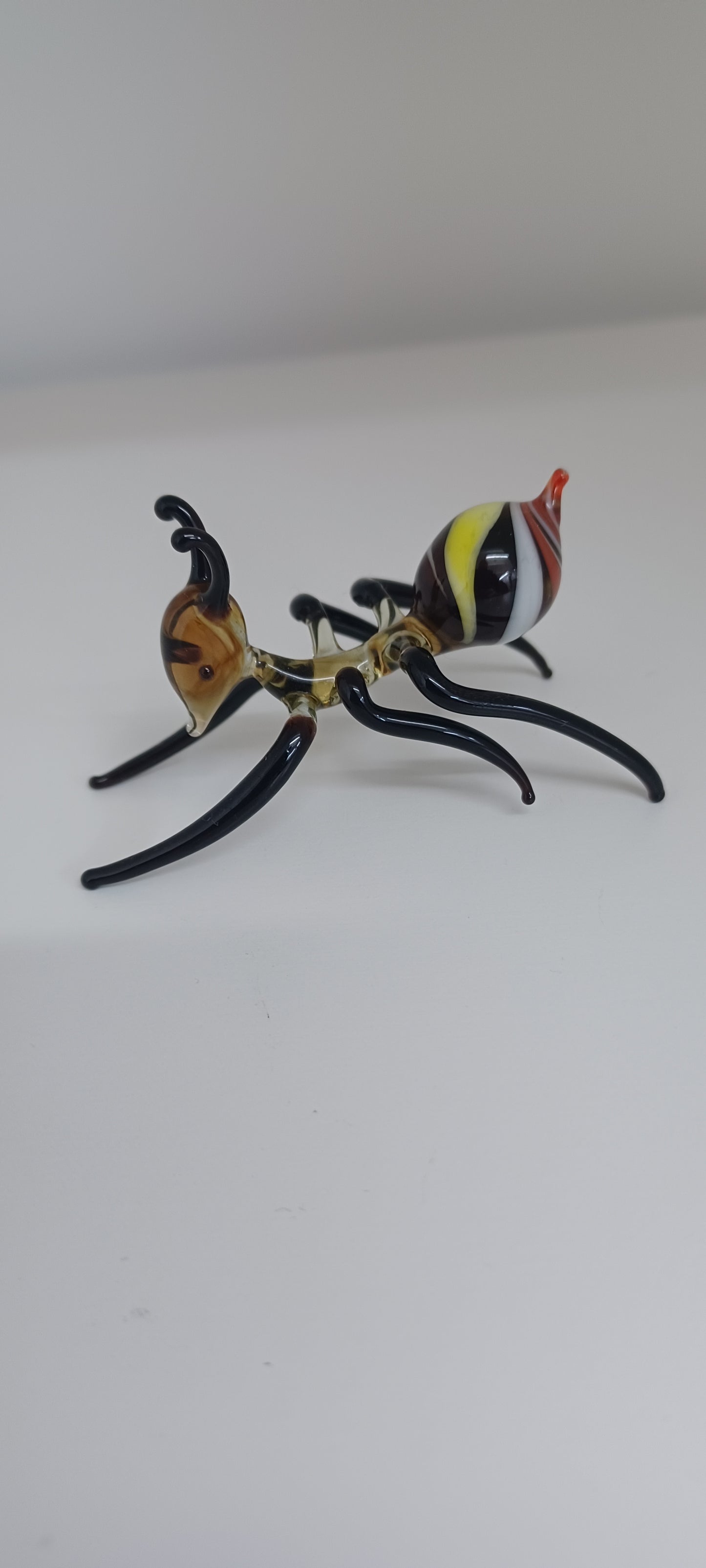 Glass Ant