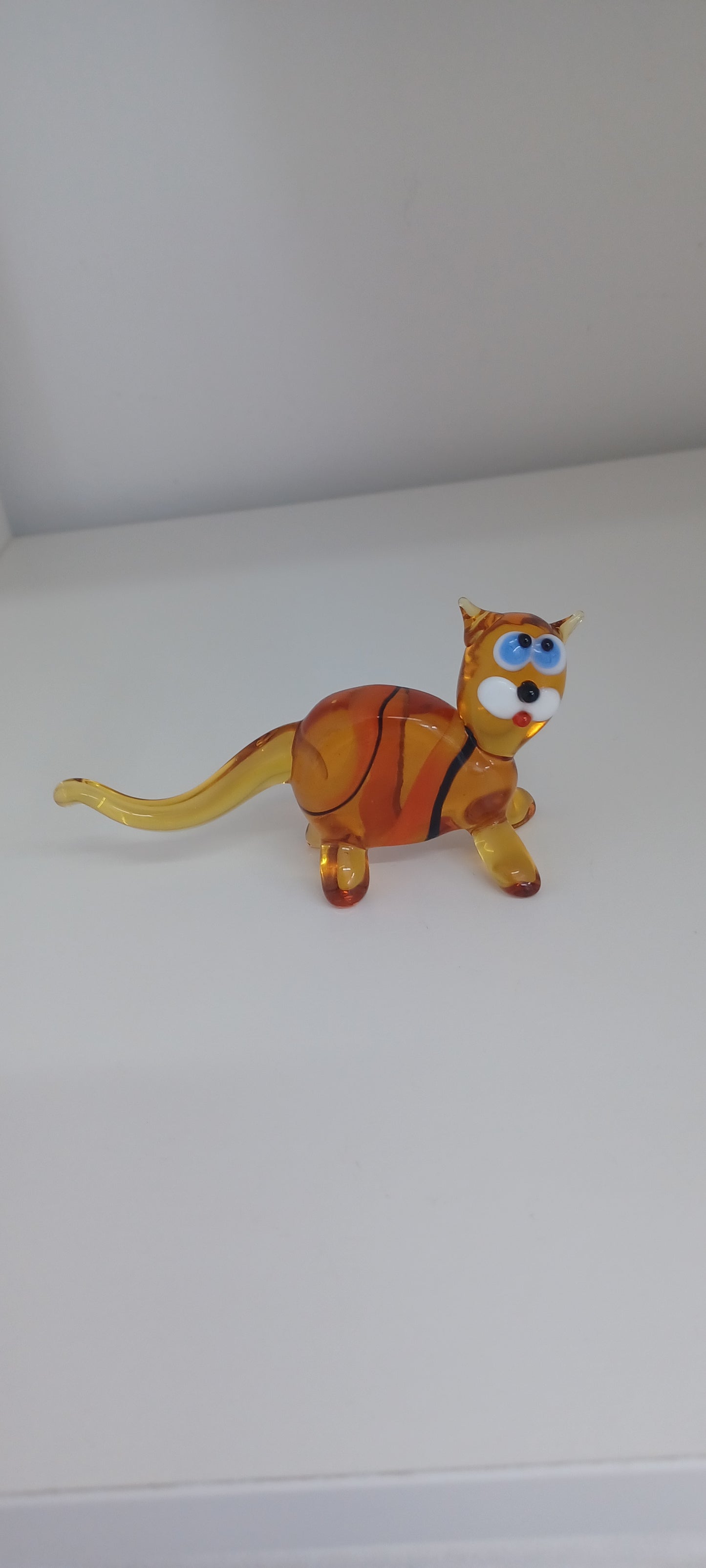 Glass Cat