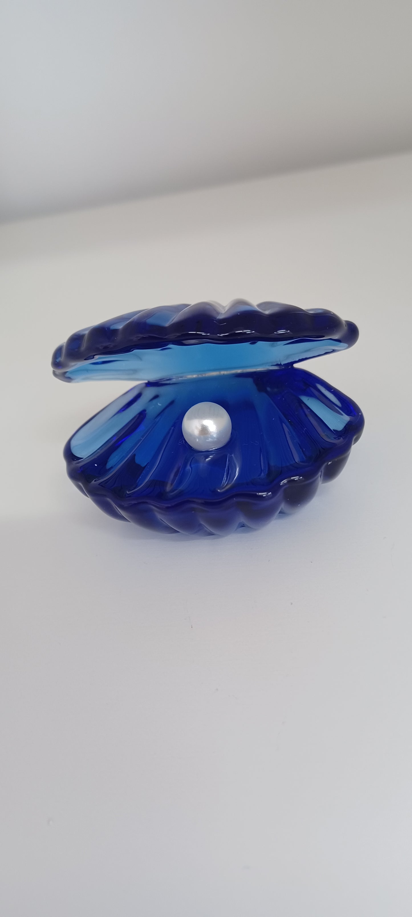 Glass Shell