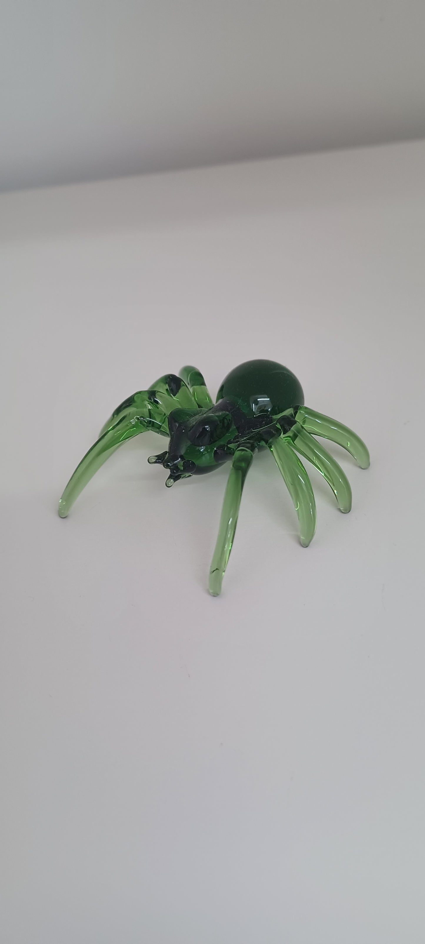Glass Spider