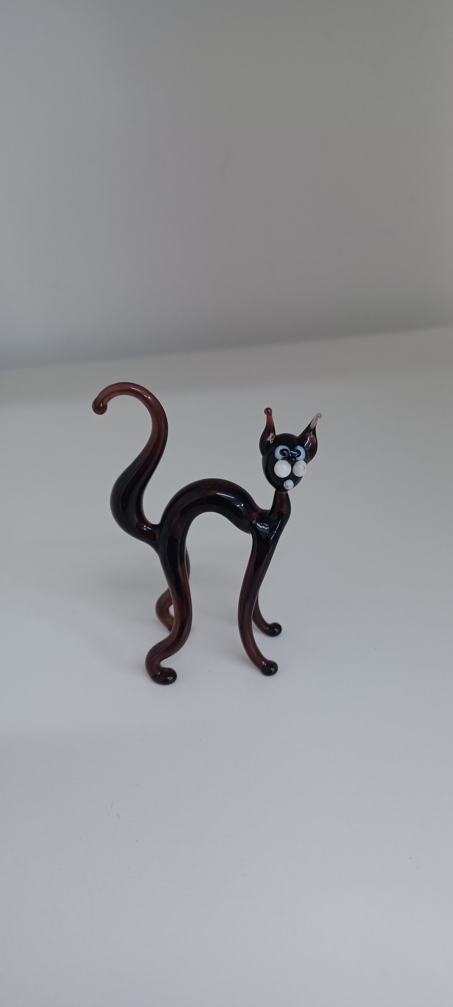 Glass Cat