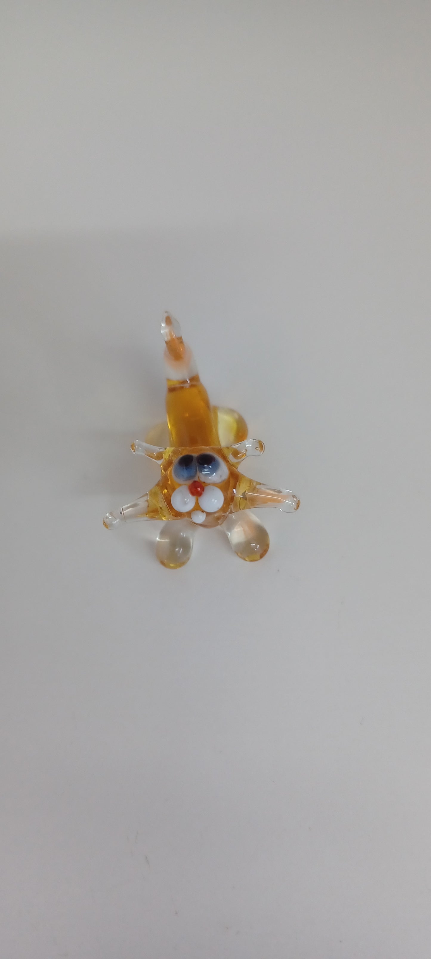 Glass Cat