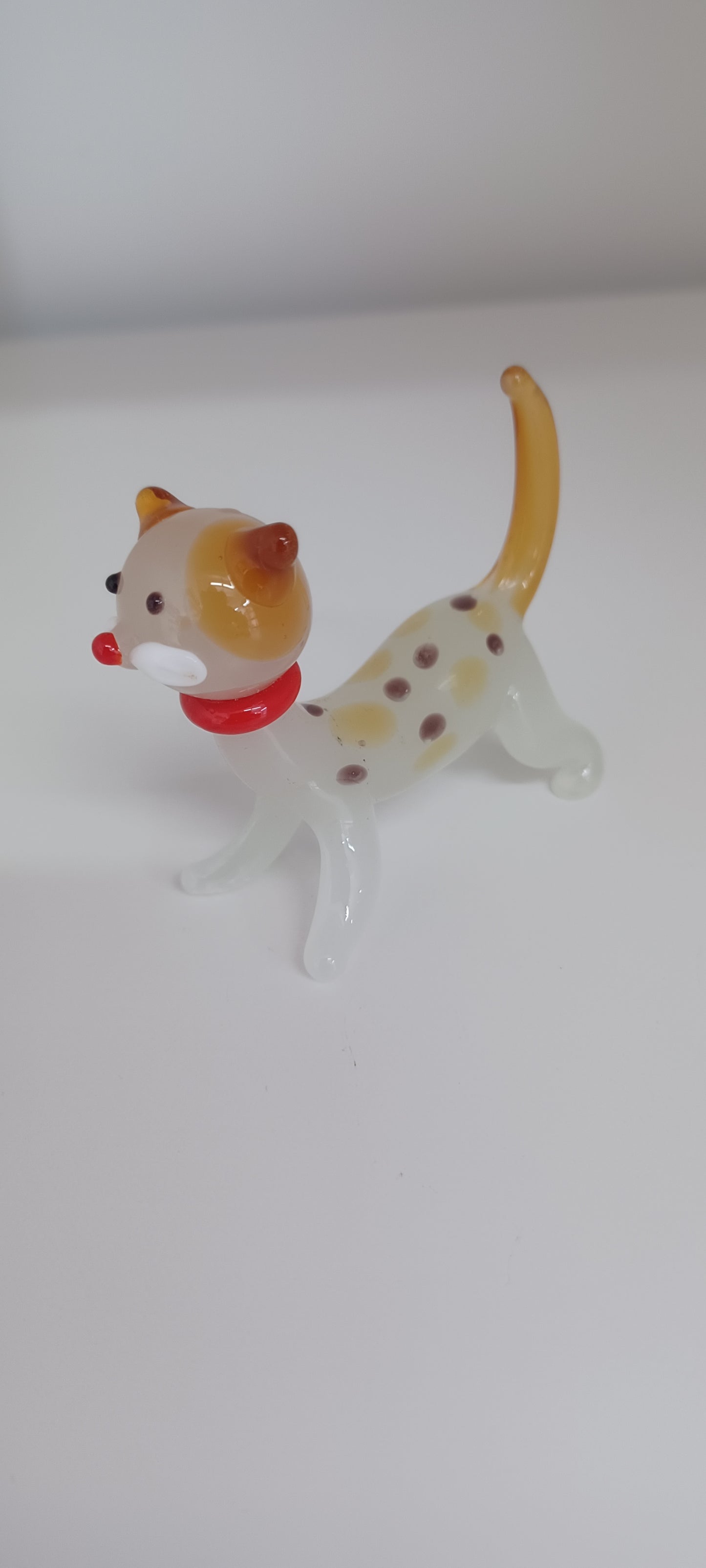 Glass Cat