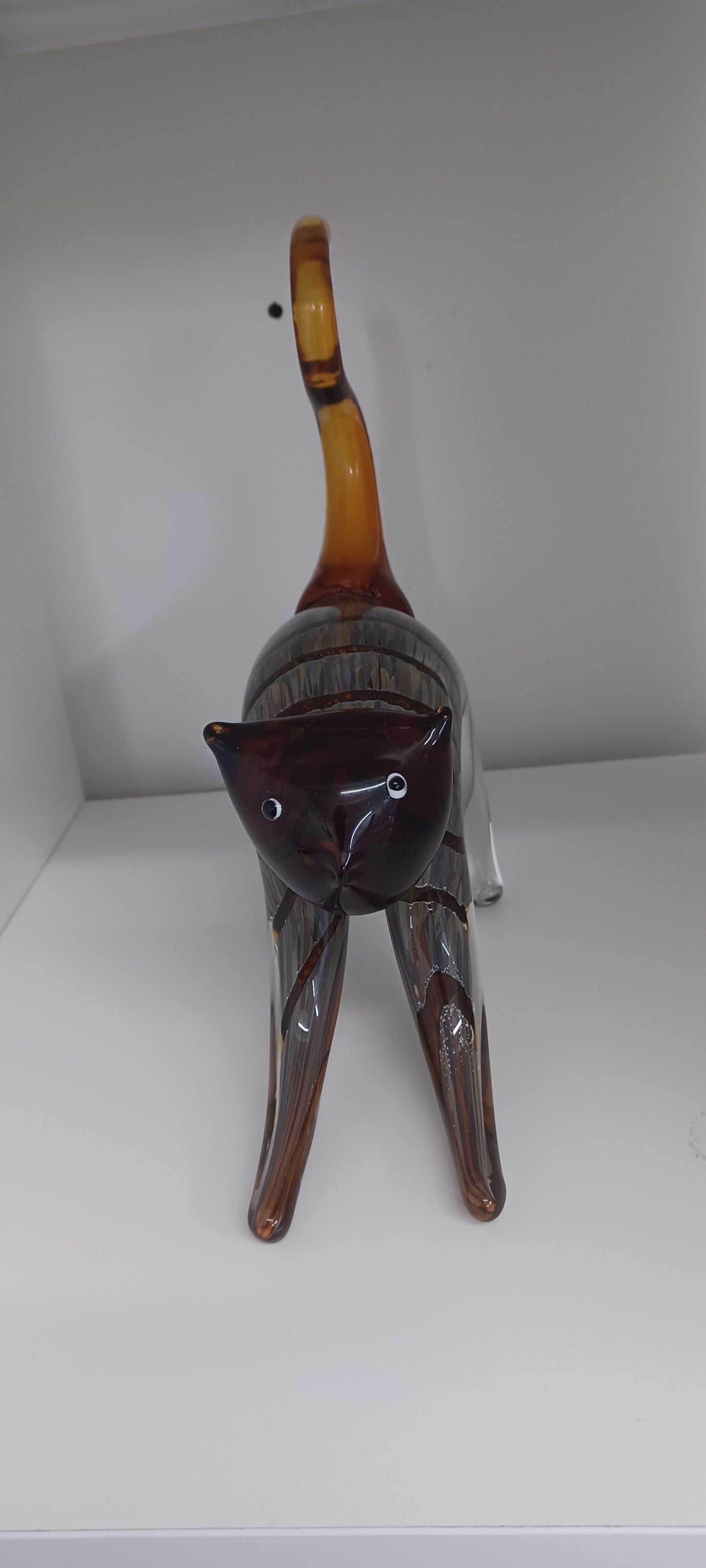 Glass Cat