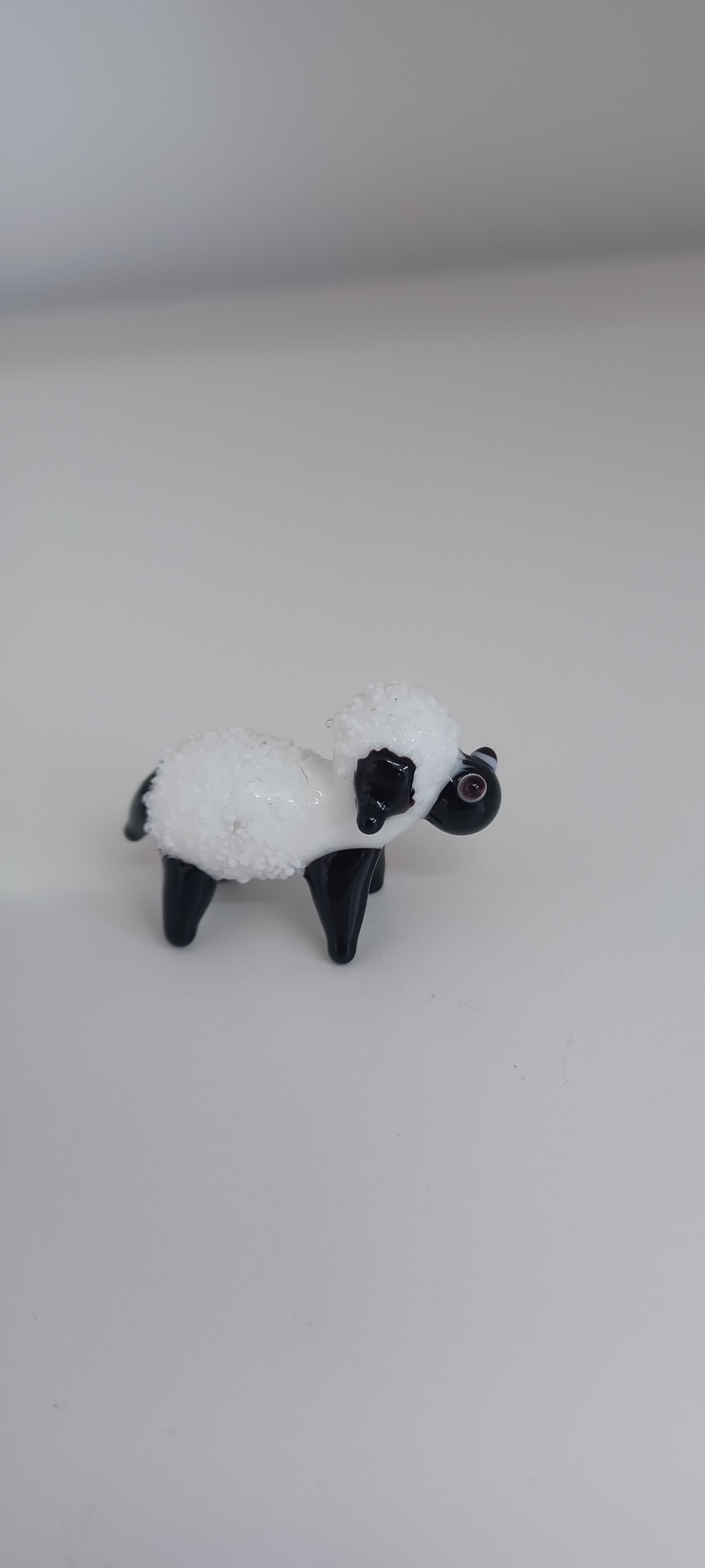 Glass Sheep