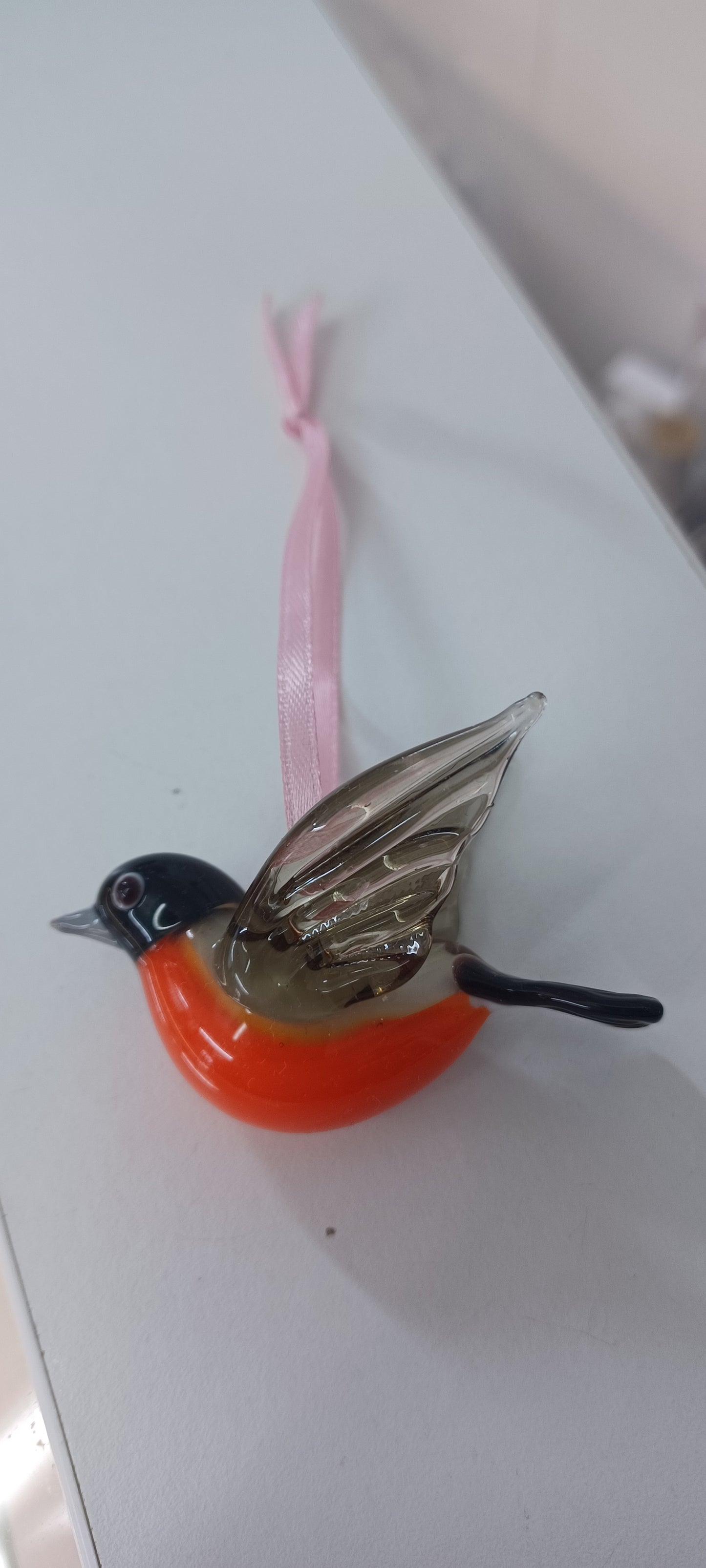 Glass Robin