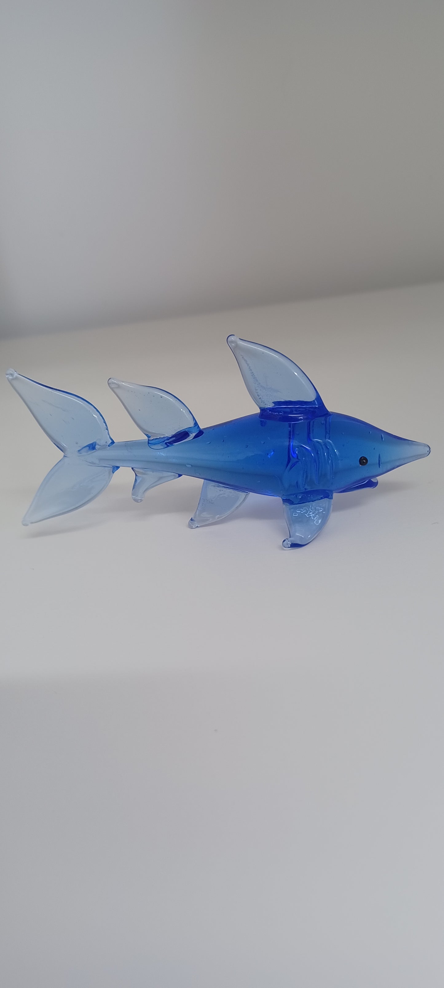 Glass Shark