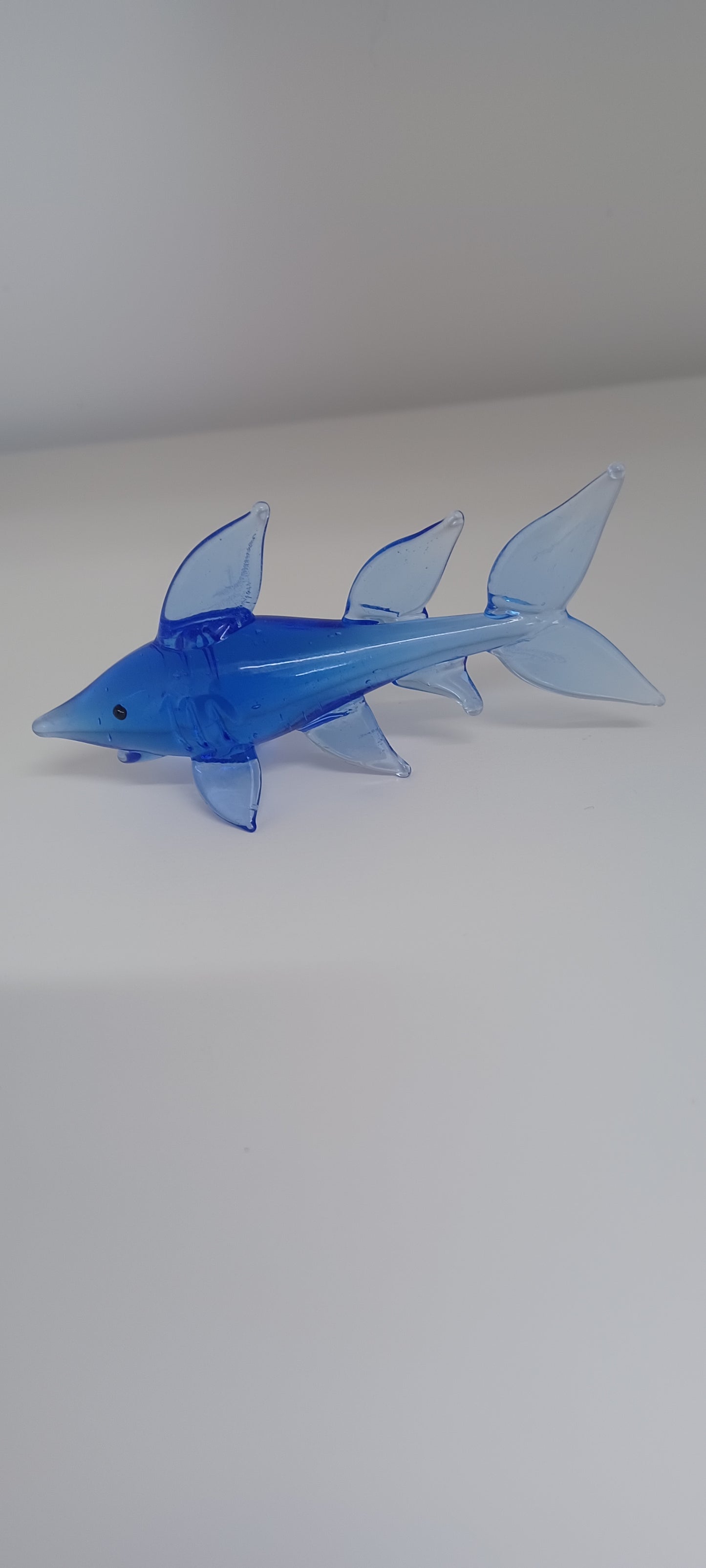 Glass Shark