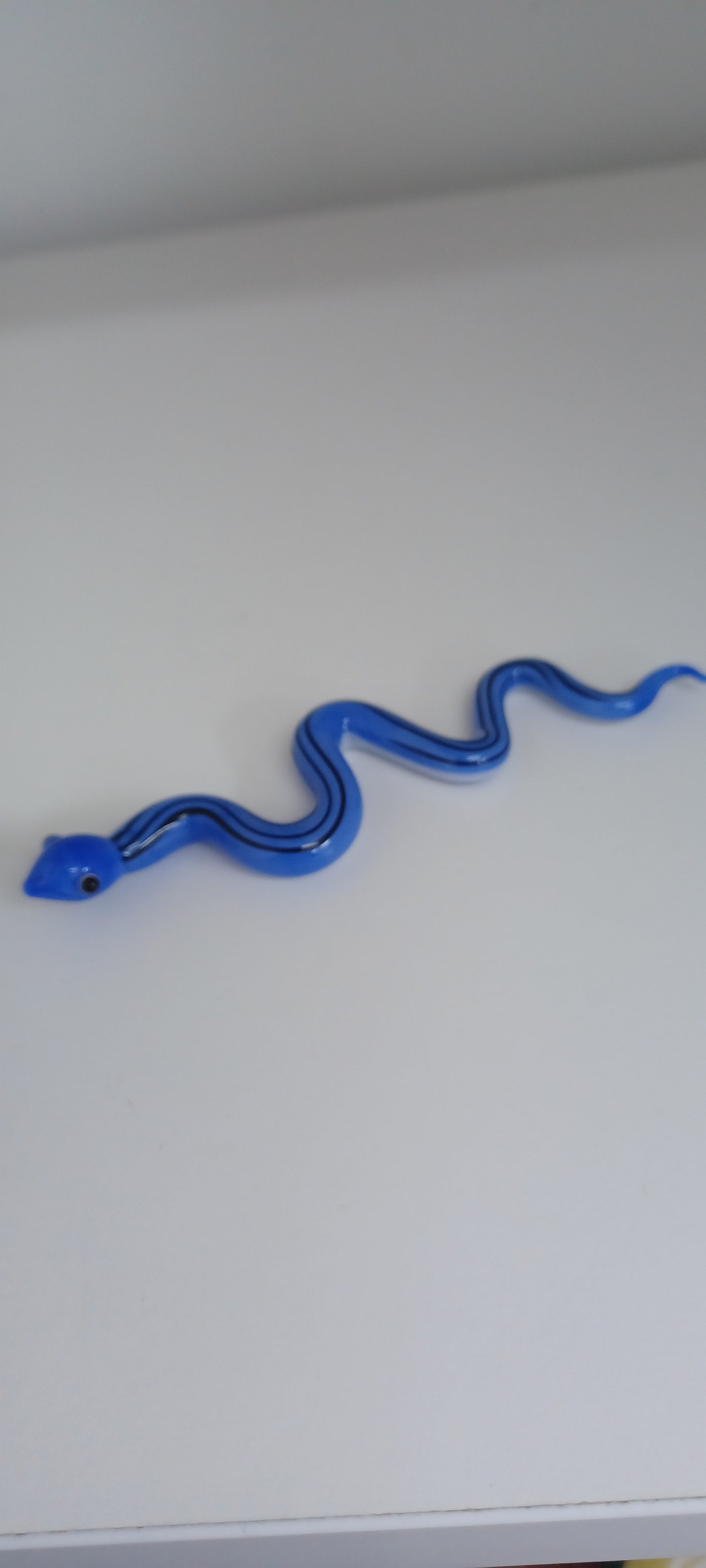 Glass Snake