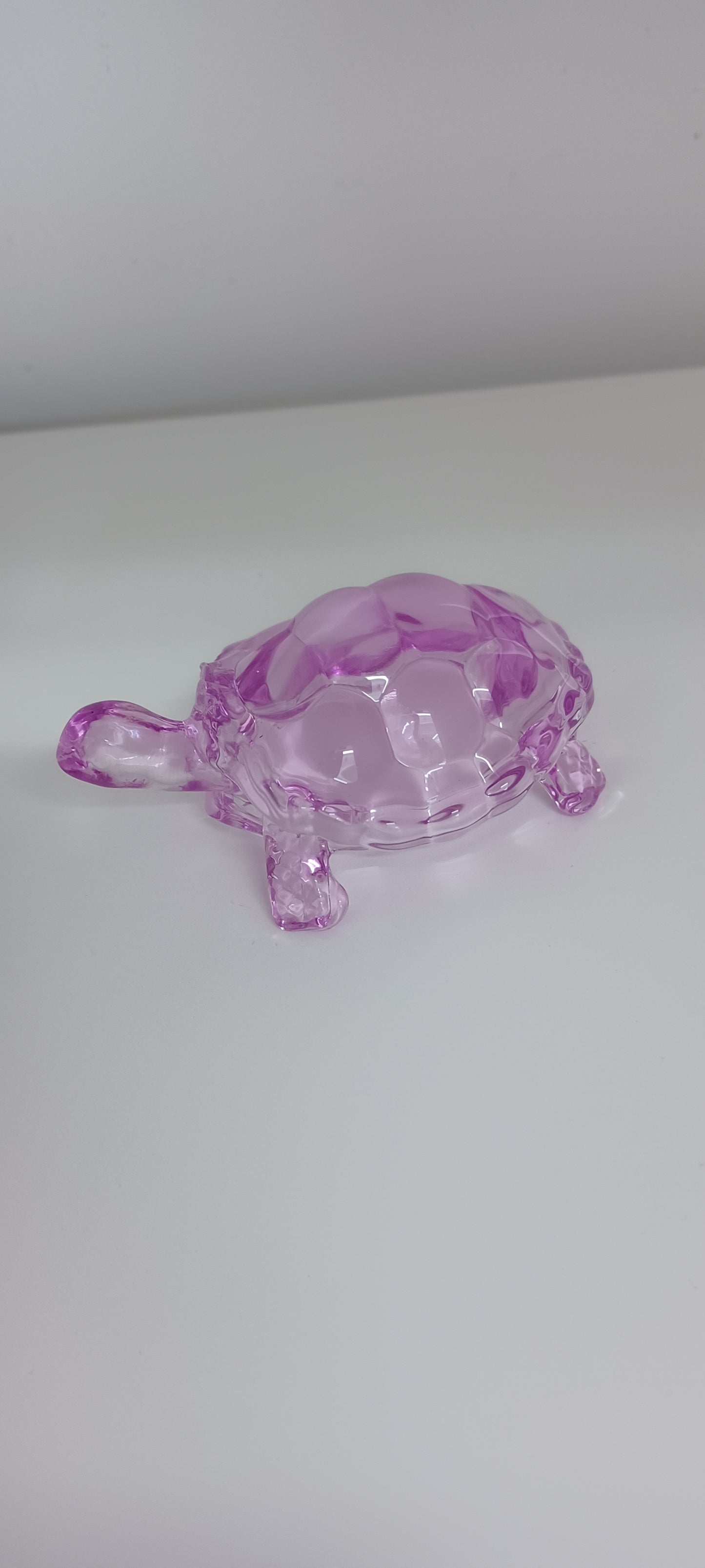 Glass Tortoise