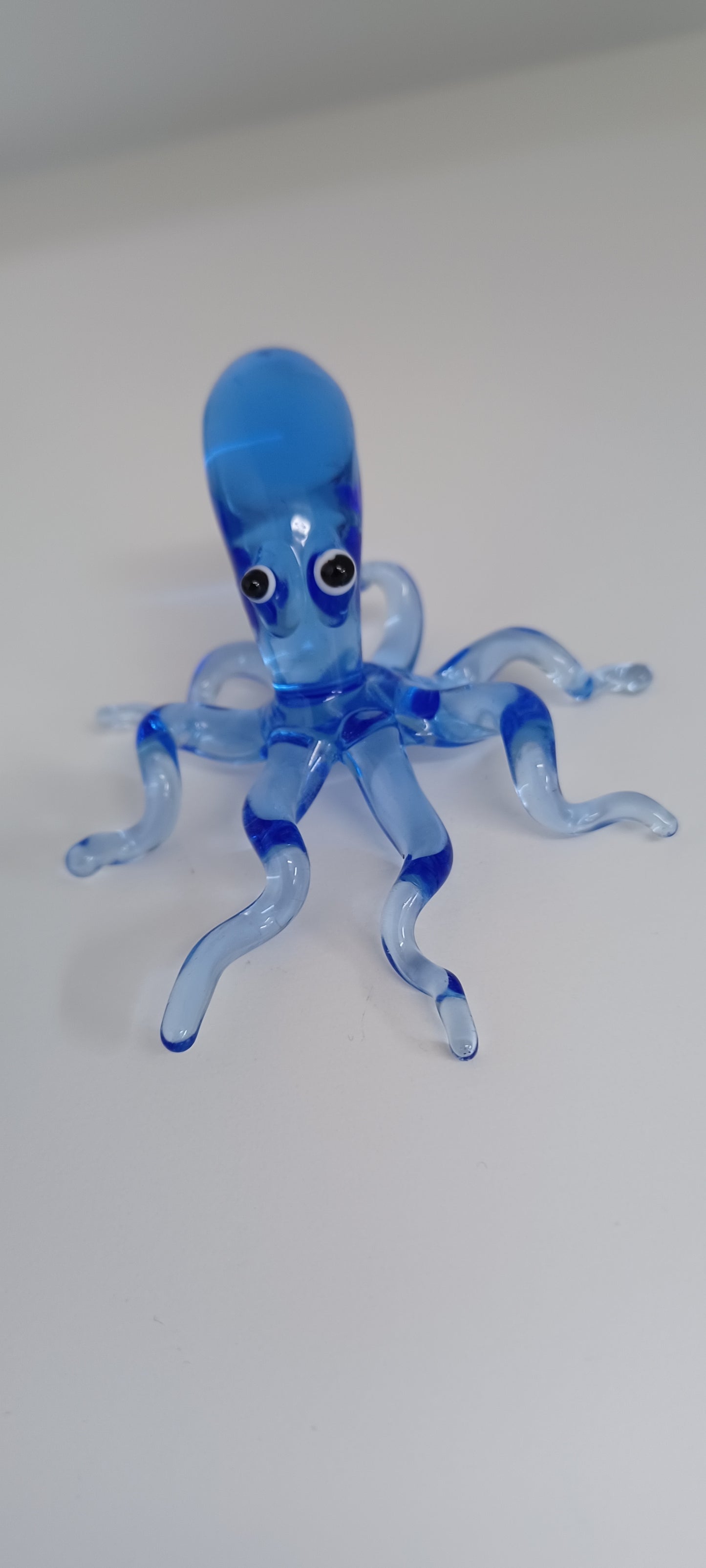 Glass Octopus
