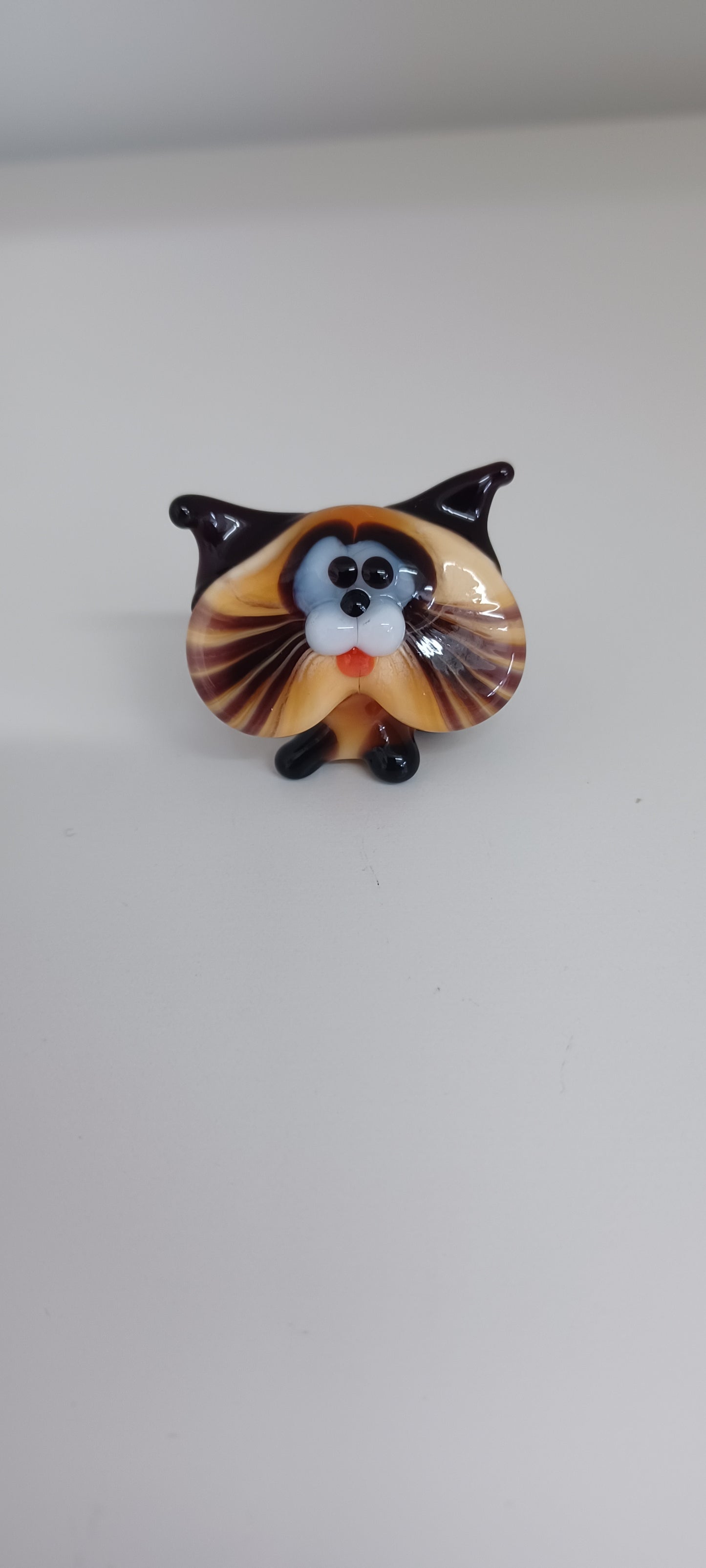 Glass Cat