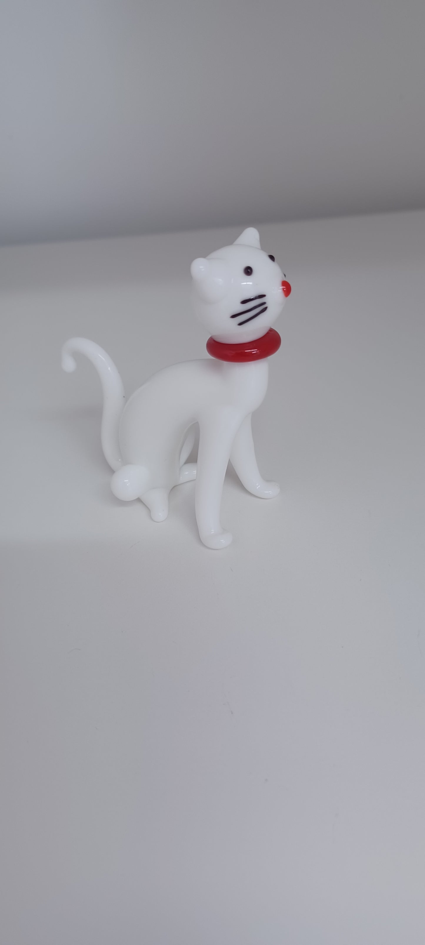 Glass Cat