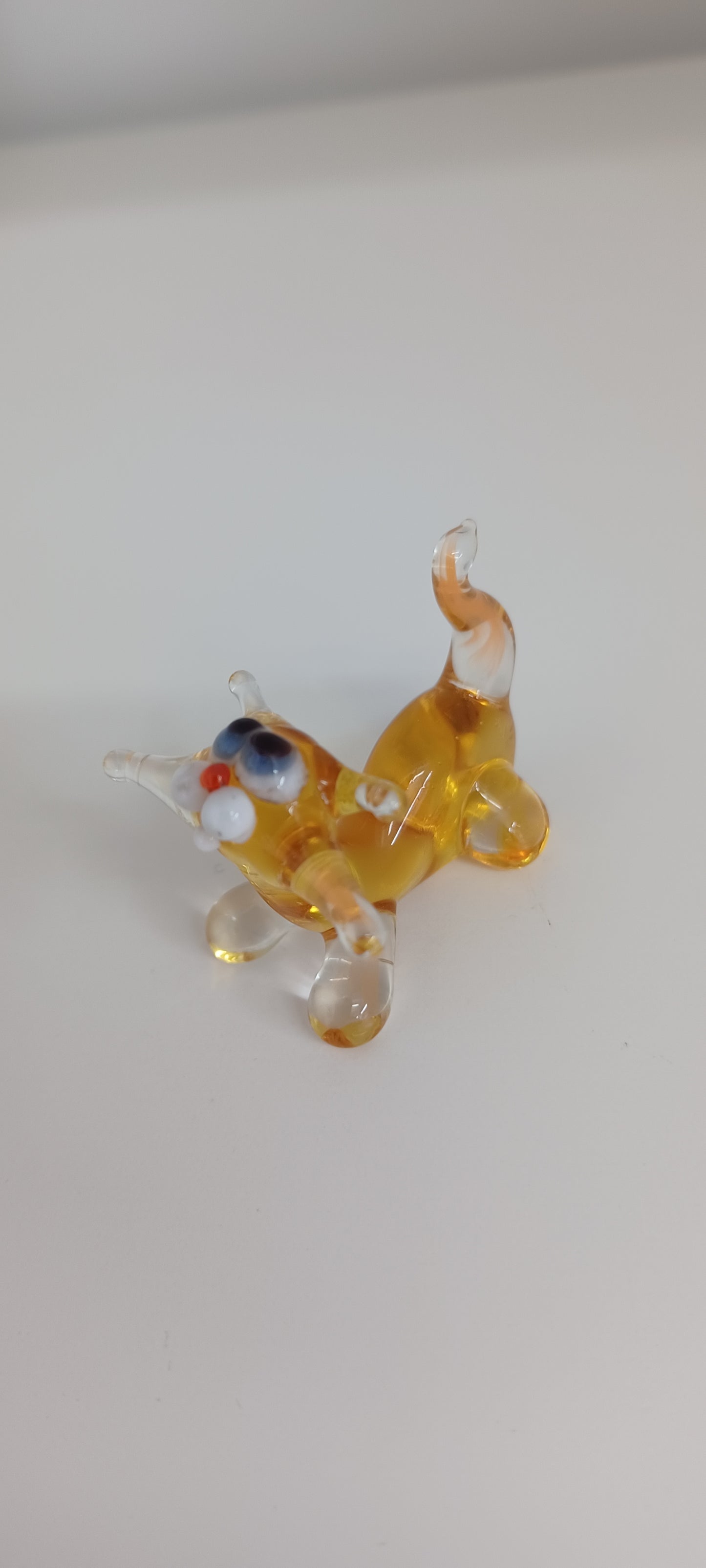 Glass Cat
