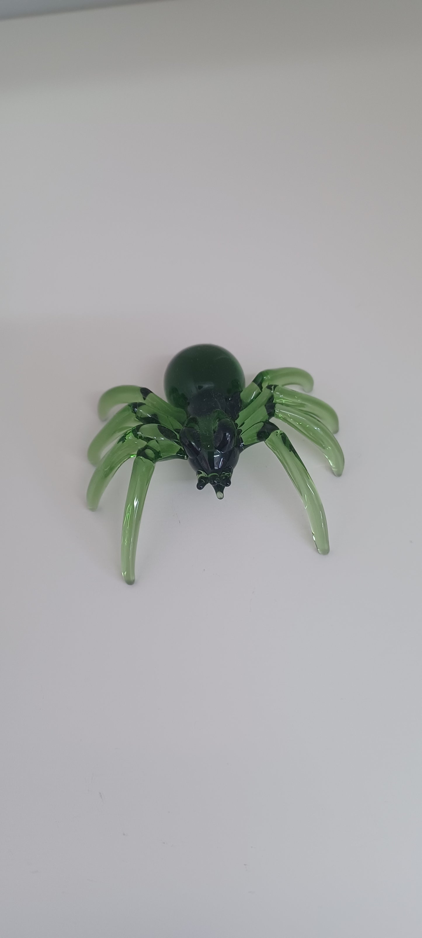 Glass Spider